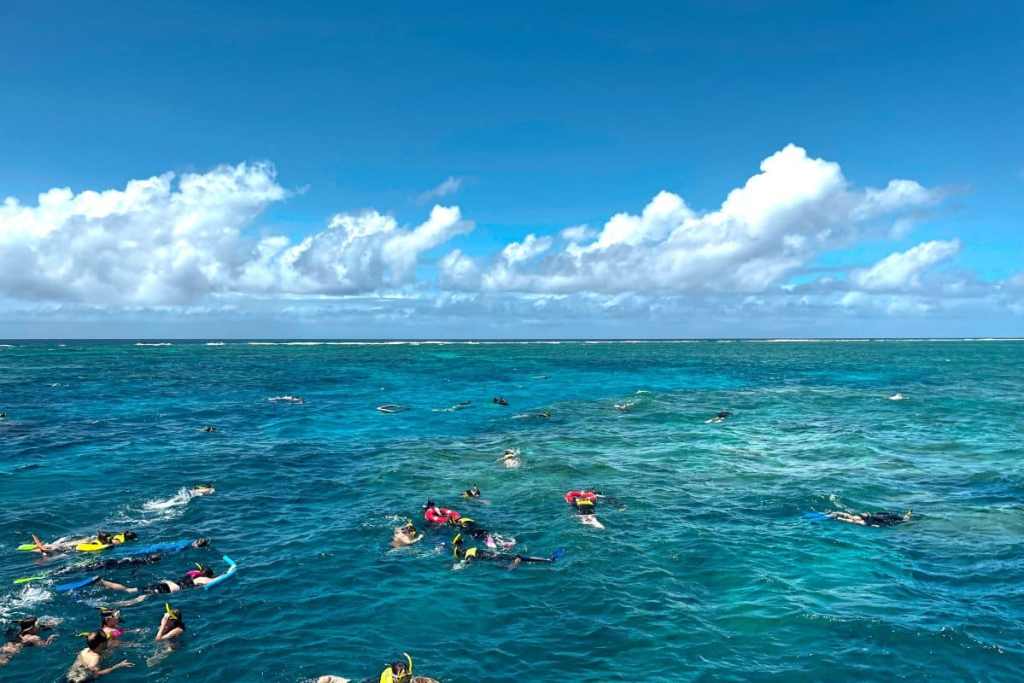 snorkelling in the great barrier reef