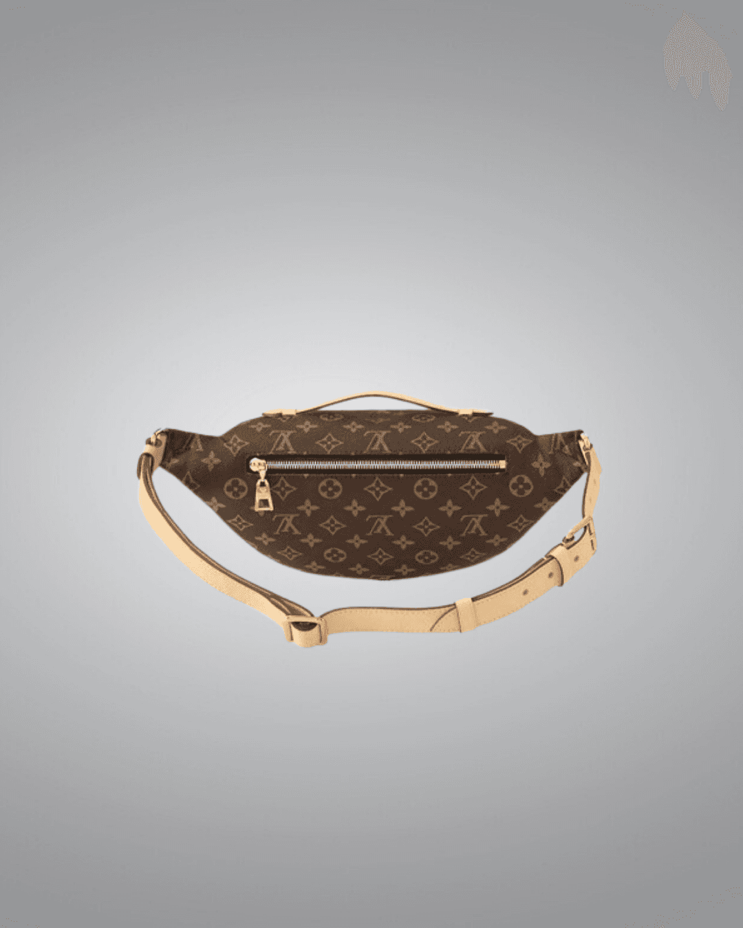 LV Bumbag in Monogram Canvas