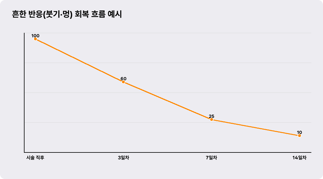 흔한 반응(붓기·멍) 회복 흐름 예시