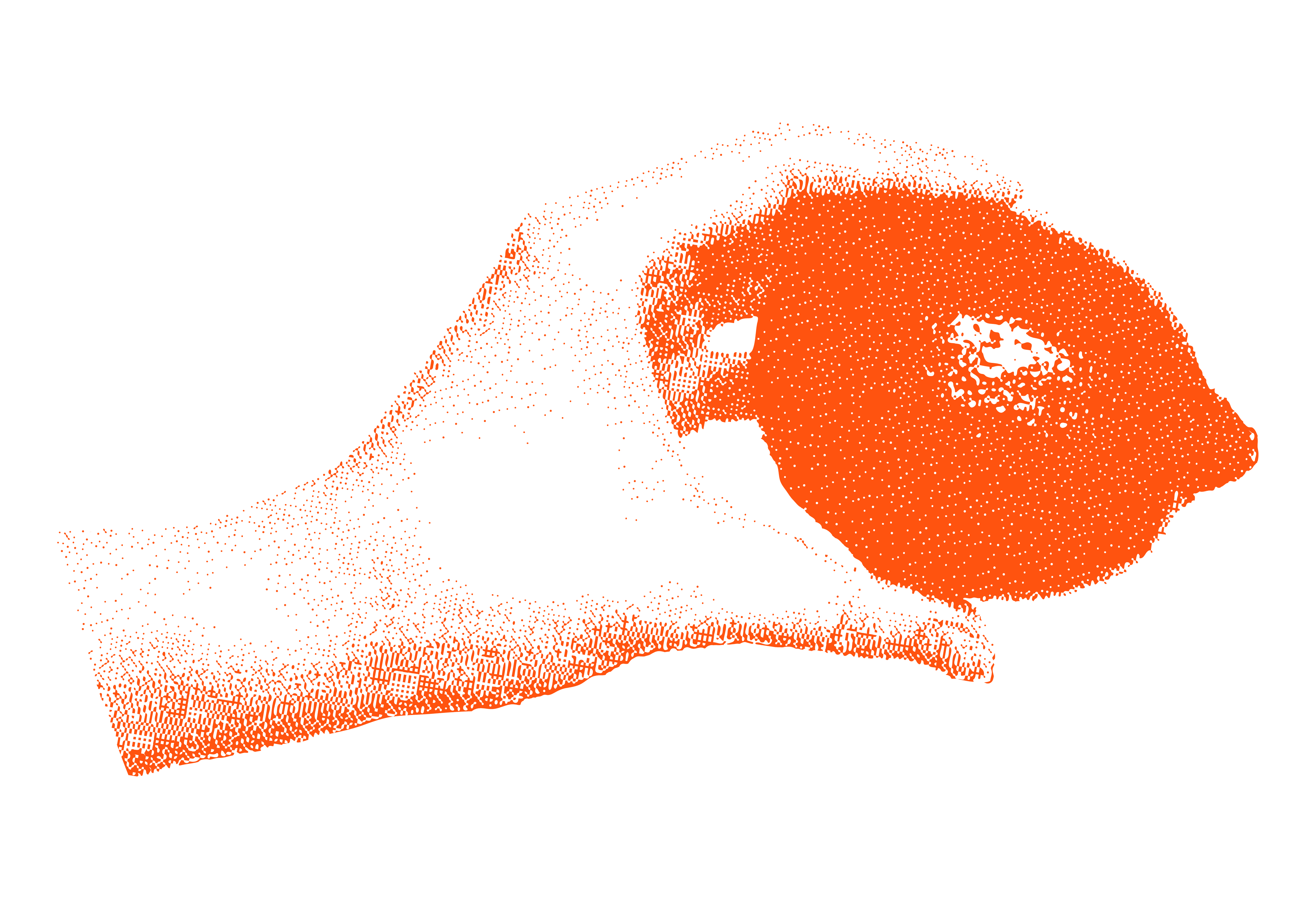An orange silhouette of a dog skull facing left against a gray background.