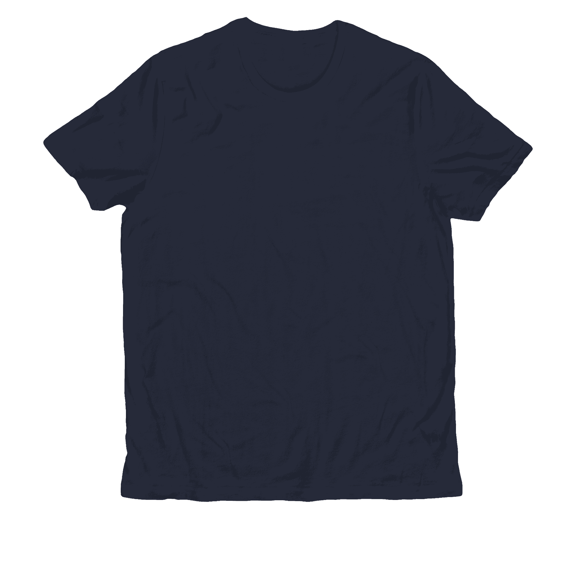 Back view of a plain navy blue t-shirt.