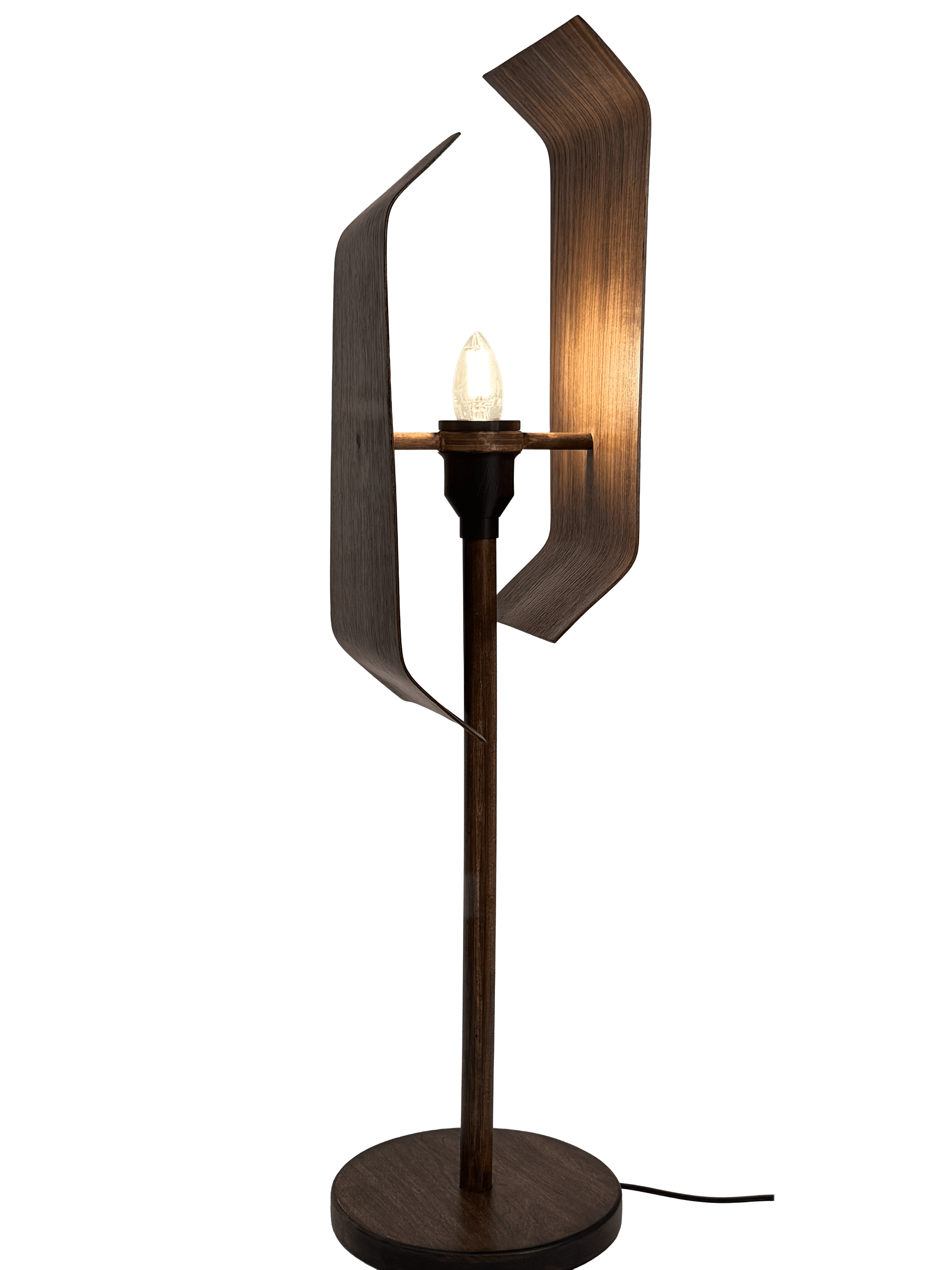 Project Content Image - 5