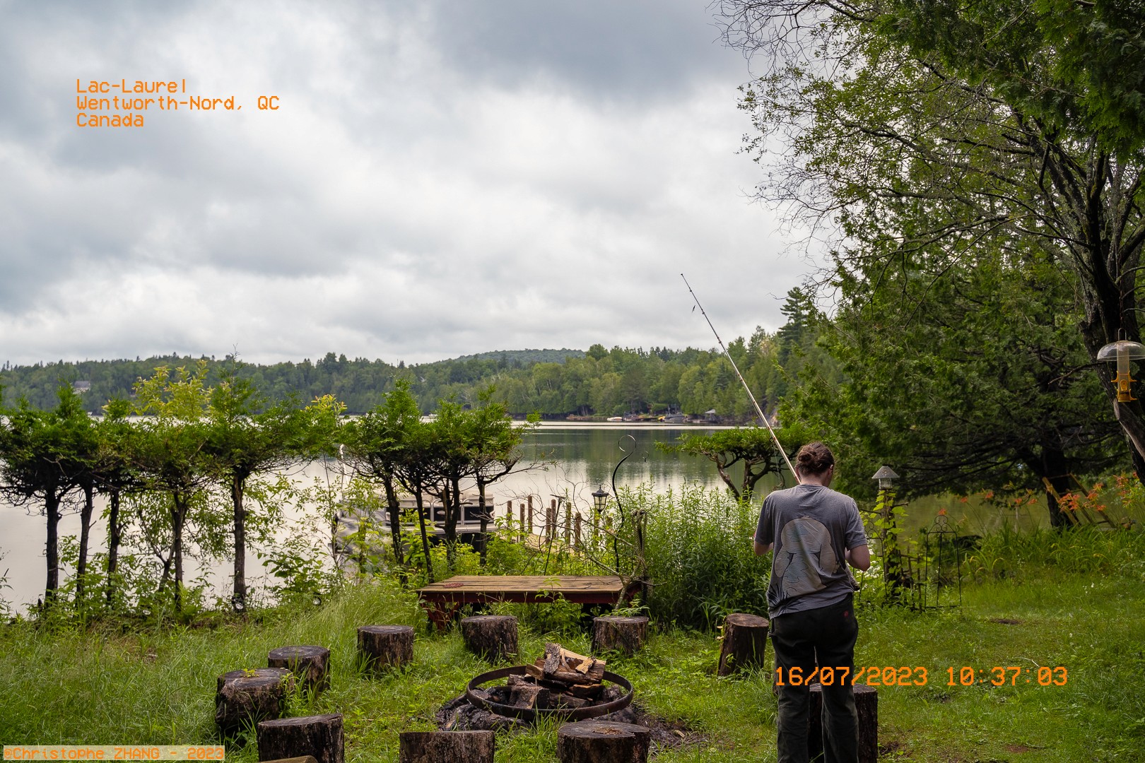  Vue d’un lac à travers des arbres taillés, avec des rondins de bois au premier plan.
