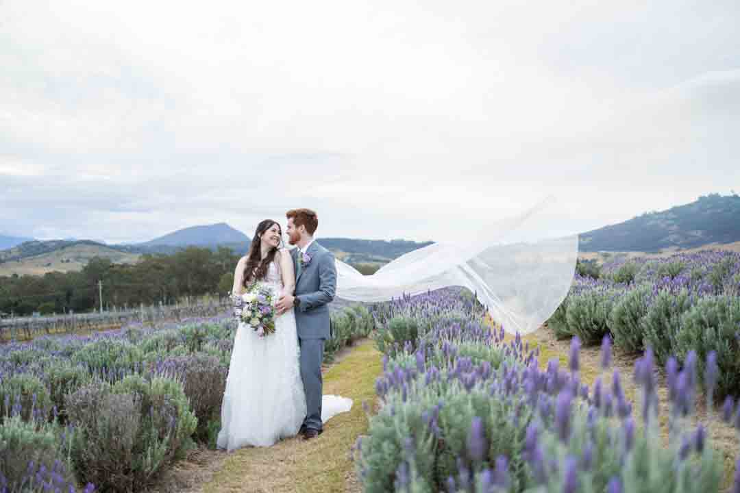 Bride and groom standing in lavender field with veil floating in the wind