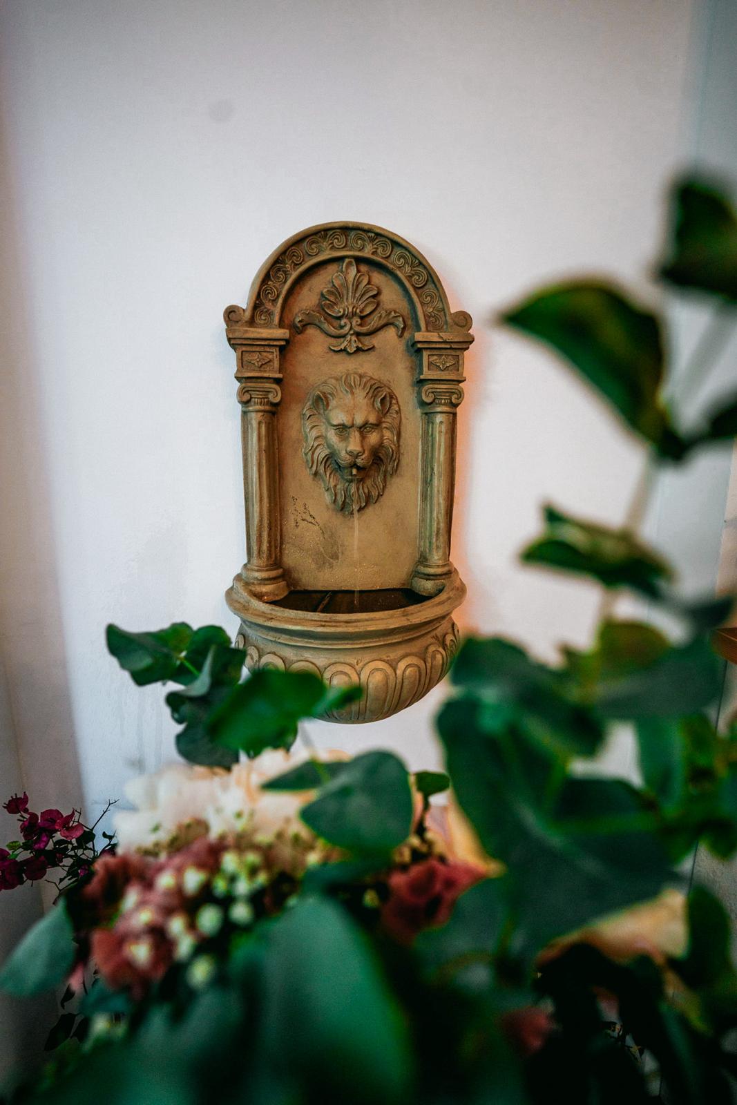 výhled z kavárny s květinami na parapetu a venkovním parkem