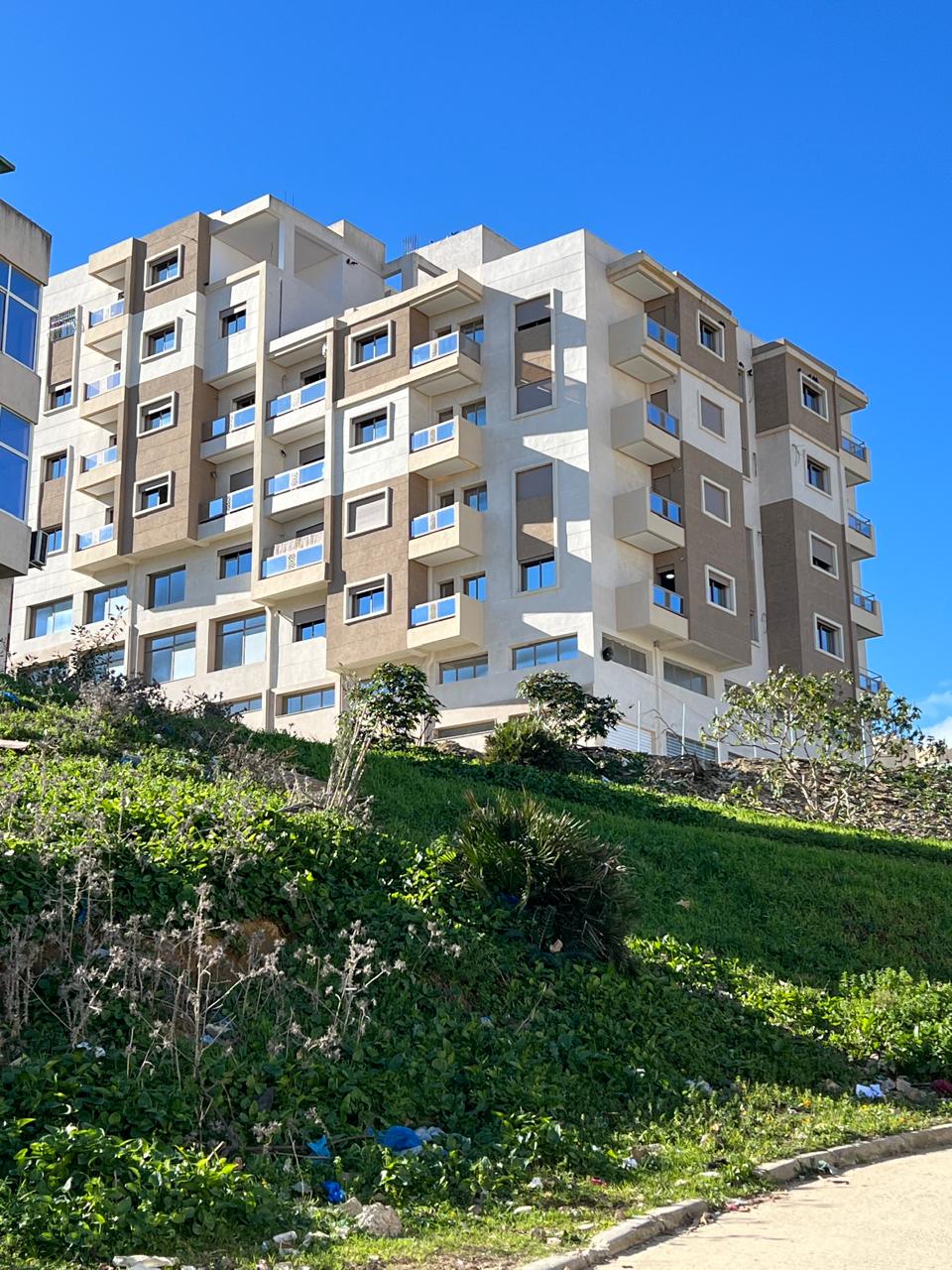 white Land Rover Ranger Rover on road near trees