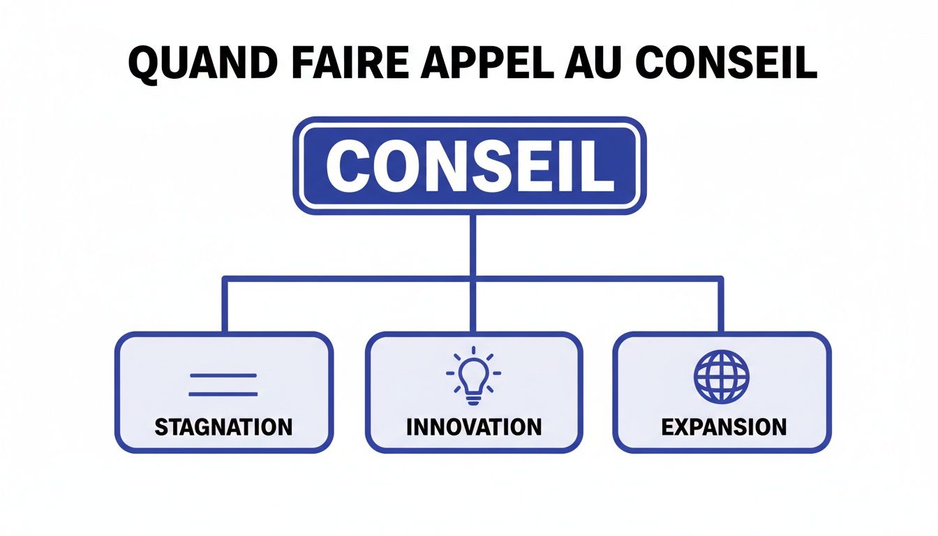 Diagramme illustrant les situations où faire appel au conseil : stagnation, innovation et expansion.