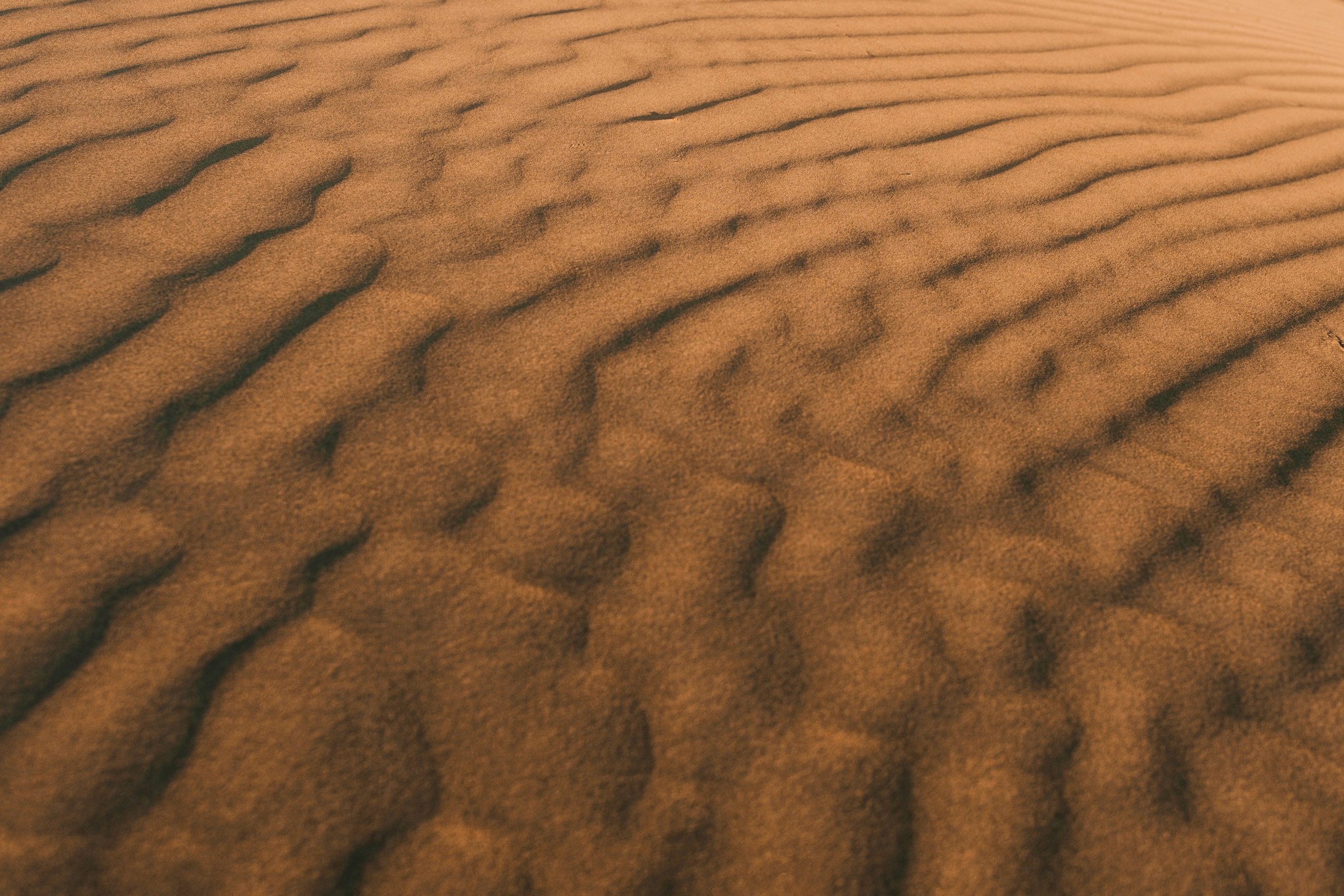 sand texture of the Thar Desert