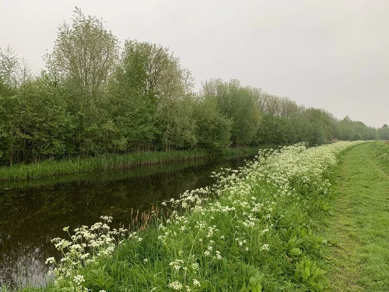 Groenlose slinge