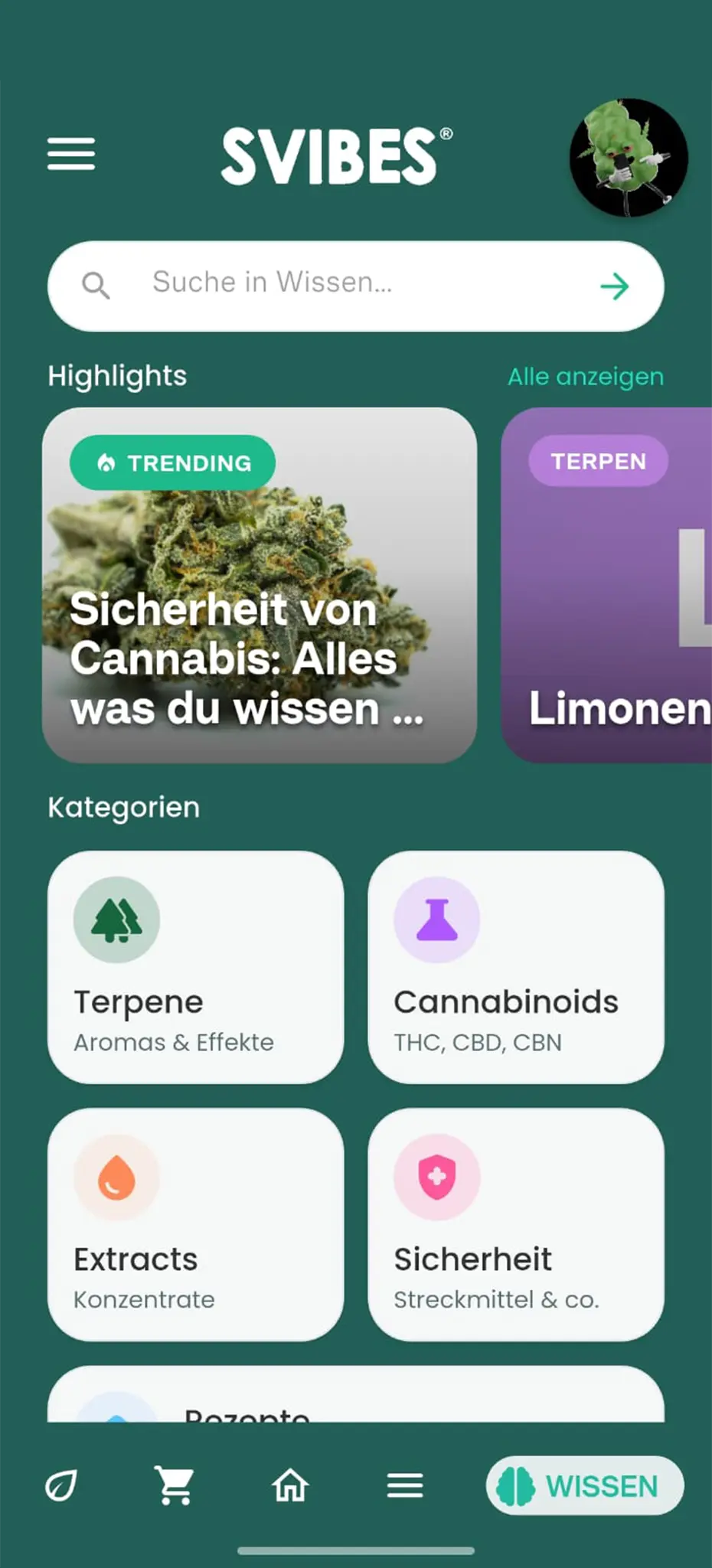 Beitragsansicht in der SVIBES-App mit Kommentaren, Likes und Bildanzeige.