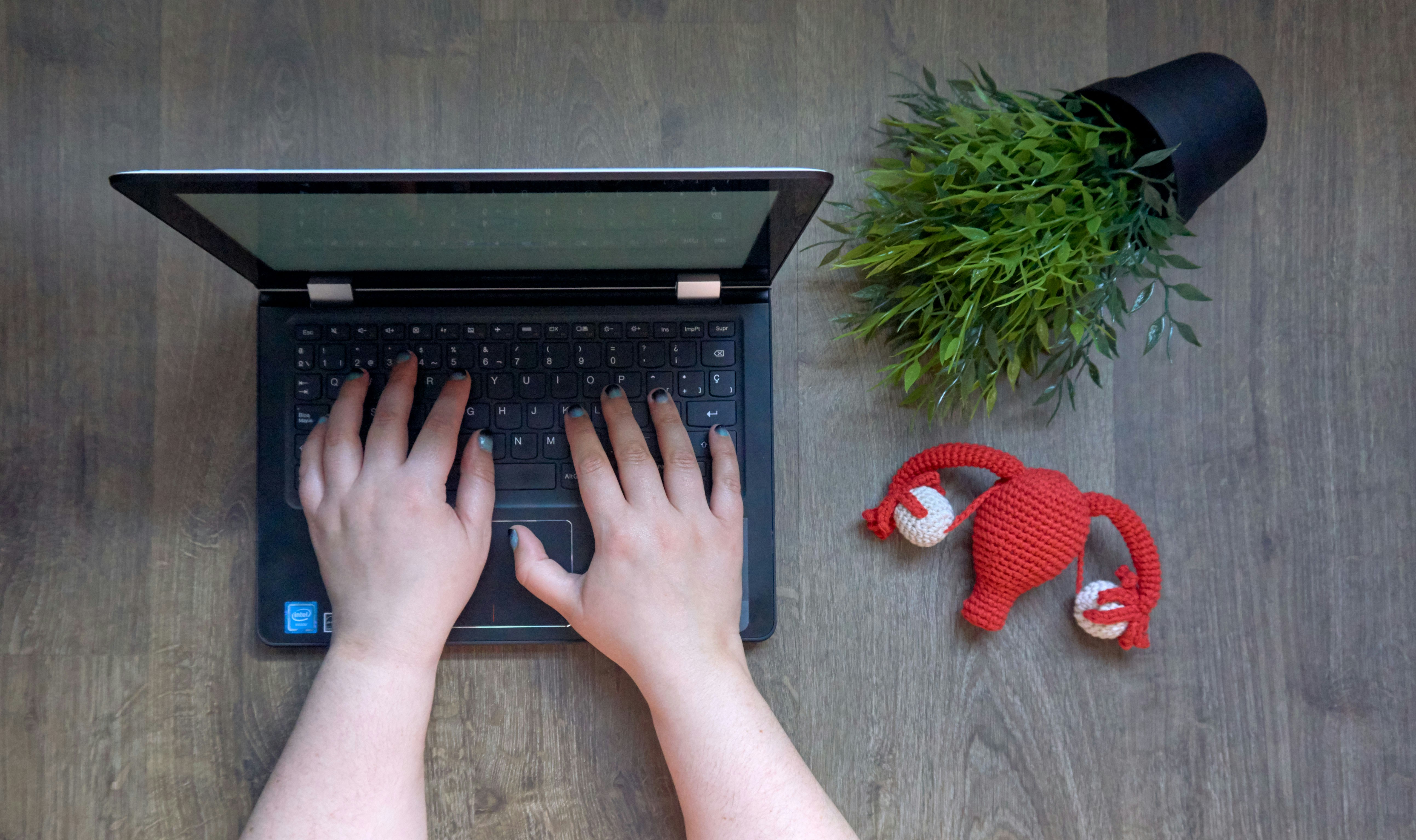 person typing on laptop - Shopify Cookie Popup