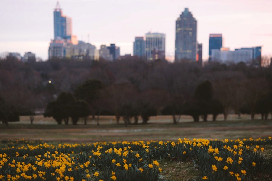 Raleigh skyline and flowers