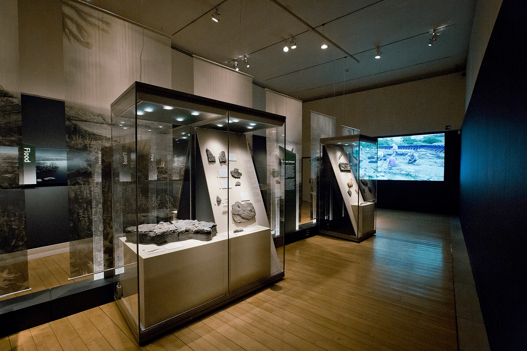 Museum, gallery and exhibition display cabinets