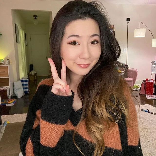 Free Twitch Overlay