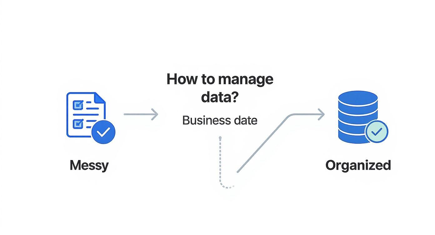 Infographic about database for small business