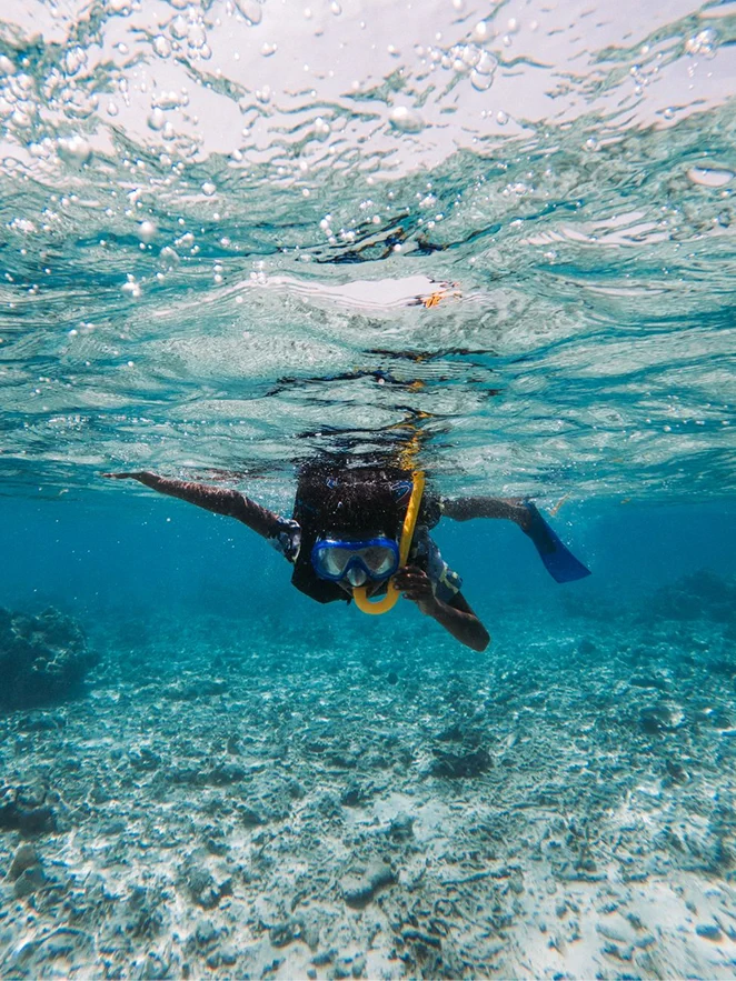 Guest snorkeling in shallow turquoise water above a sandy seabed.