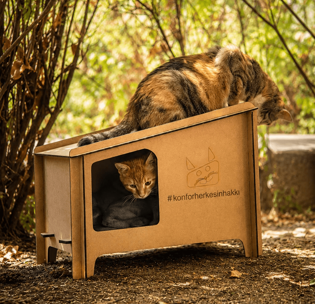 cat house cat shelter outdoor kemal sayli