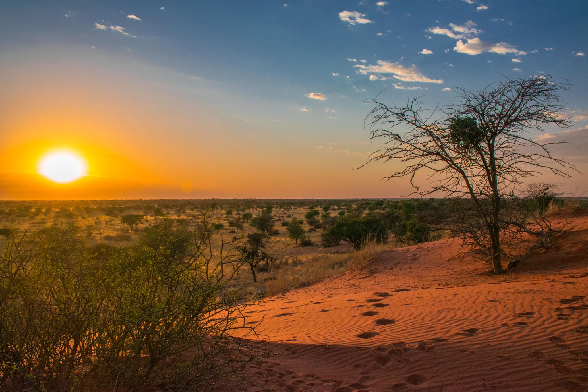 Kalahari Desert Namibia