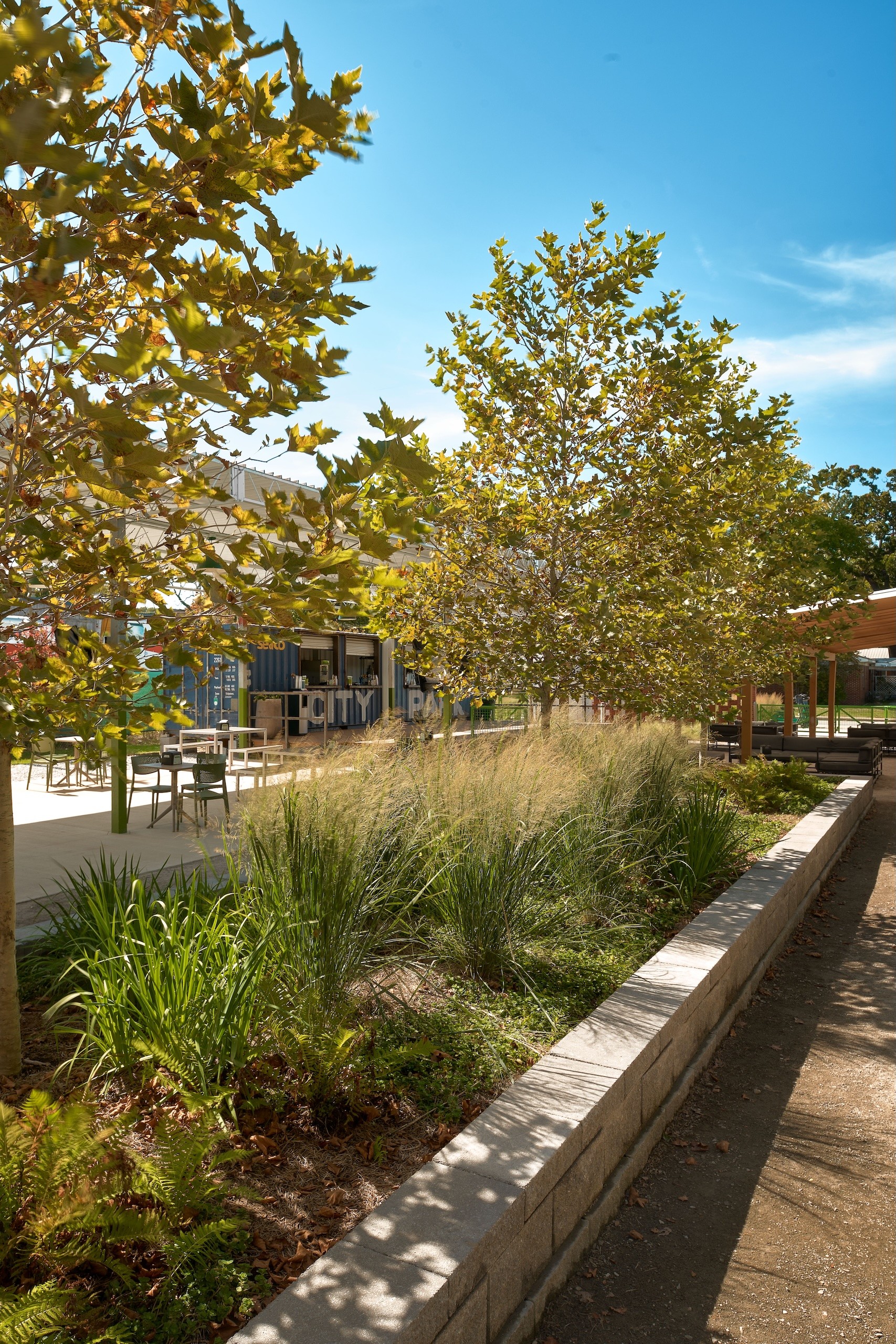 City Park outdoor restaurant and bar in Fayetteville, AR trees