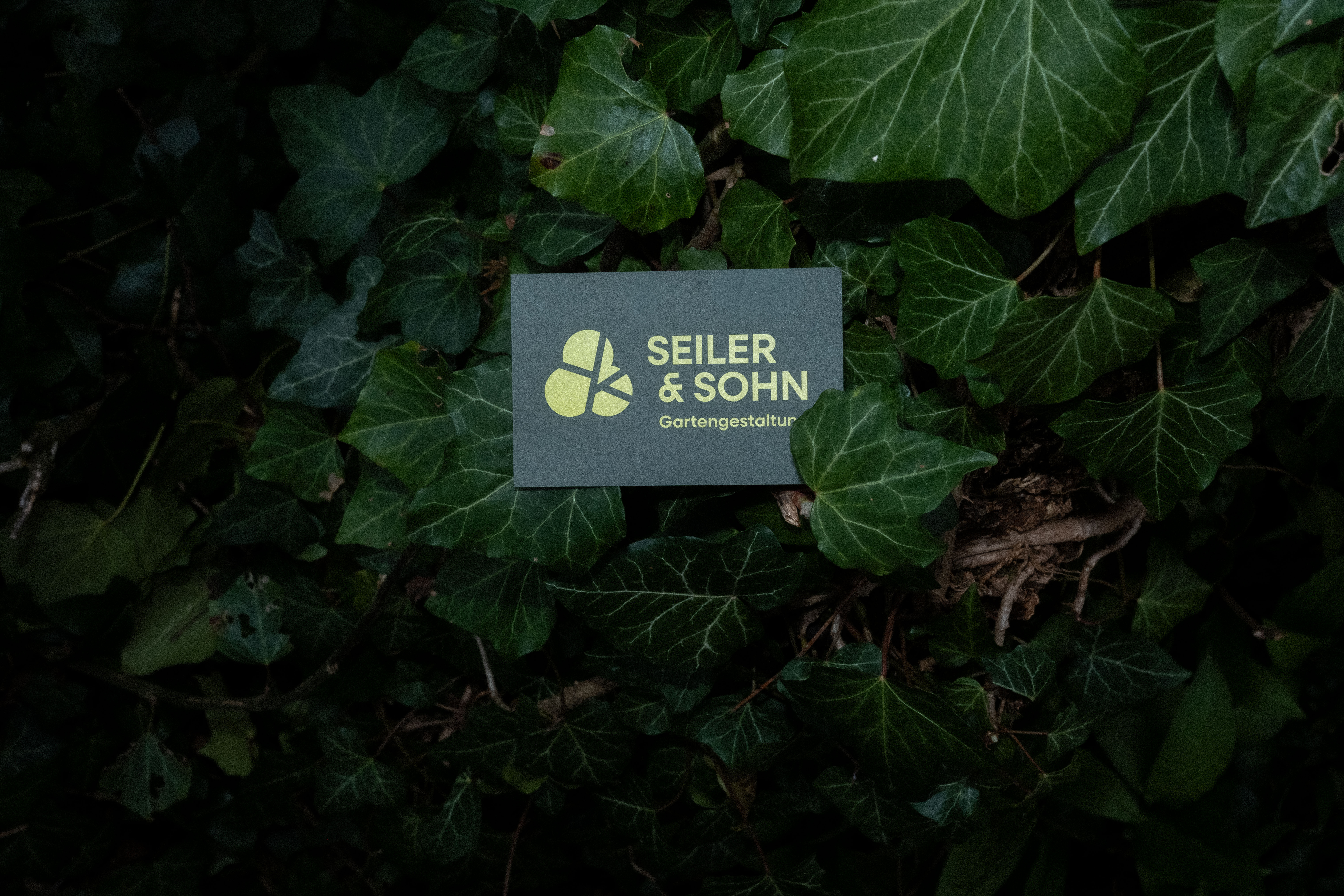 Dunkle Seiler & Sohn Visitenkarte mit lime-grünem Logo, platziert auf einem Efeu-Blättergeflecht.