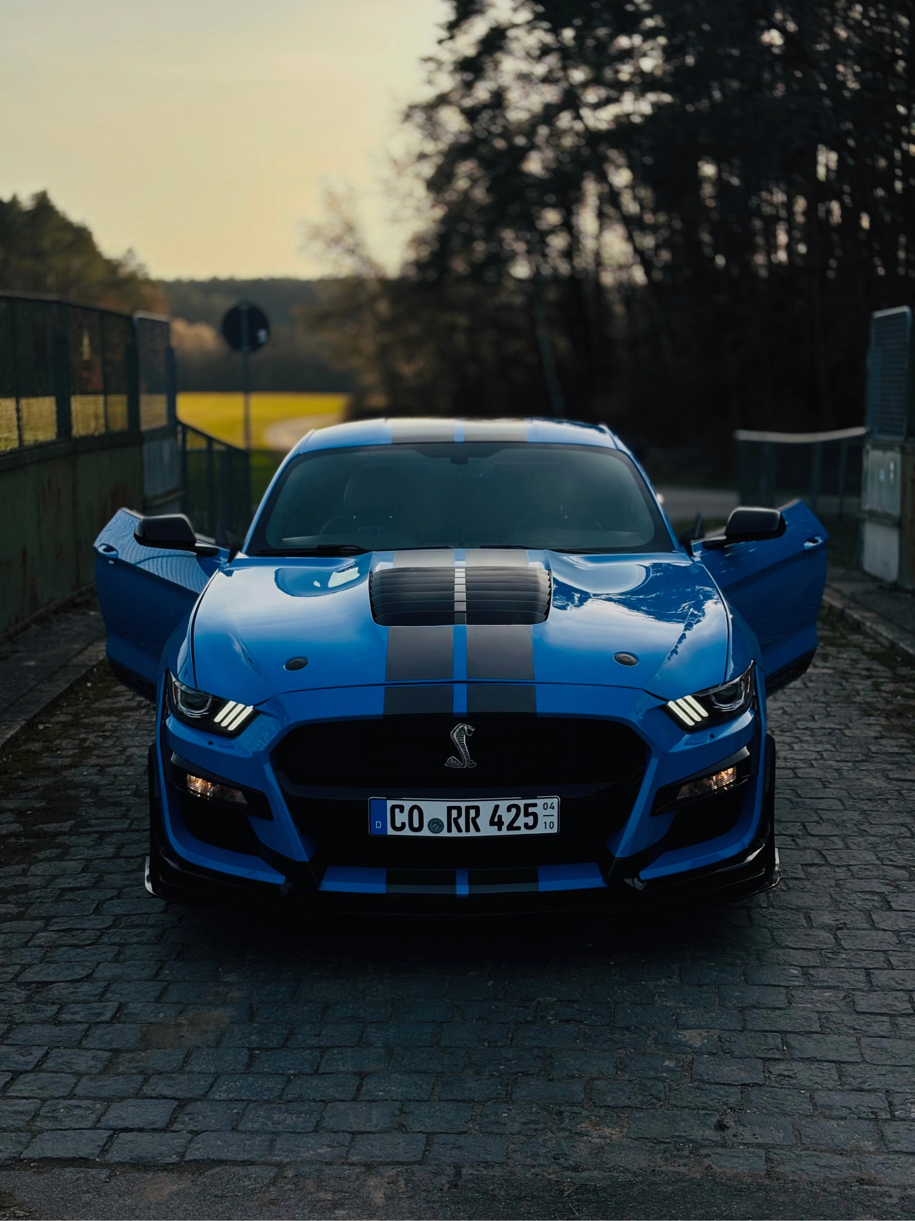 Ford Mustang GT in Blau von Vorne