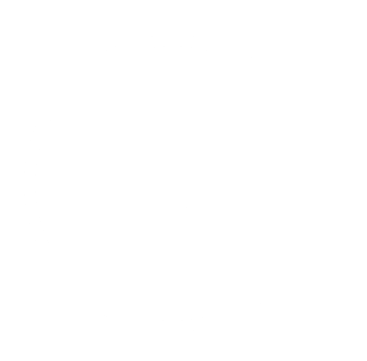 linkedin icon