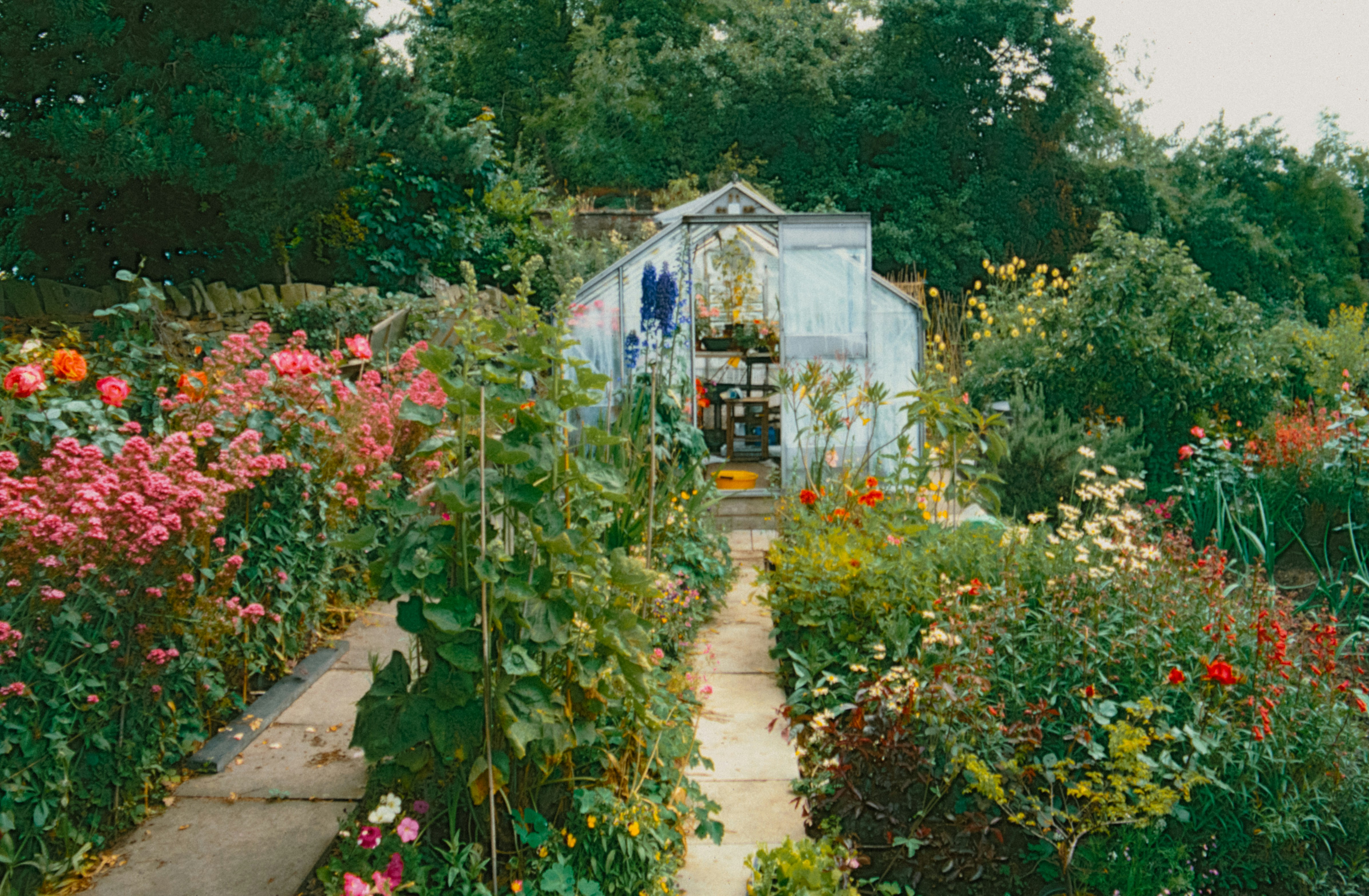 A garden filled with lots of different types of flowers