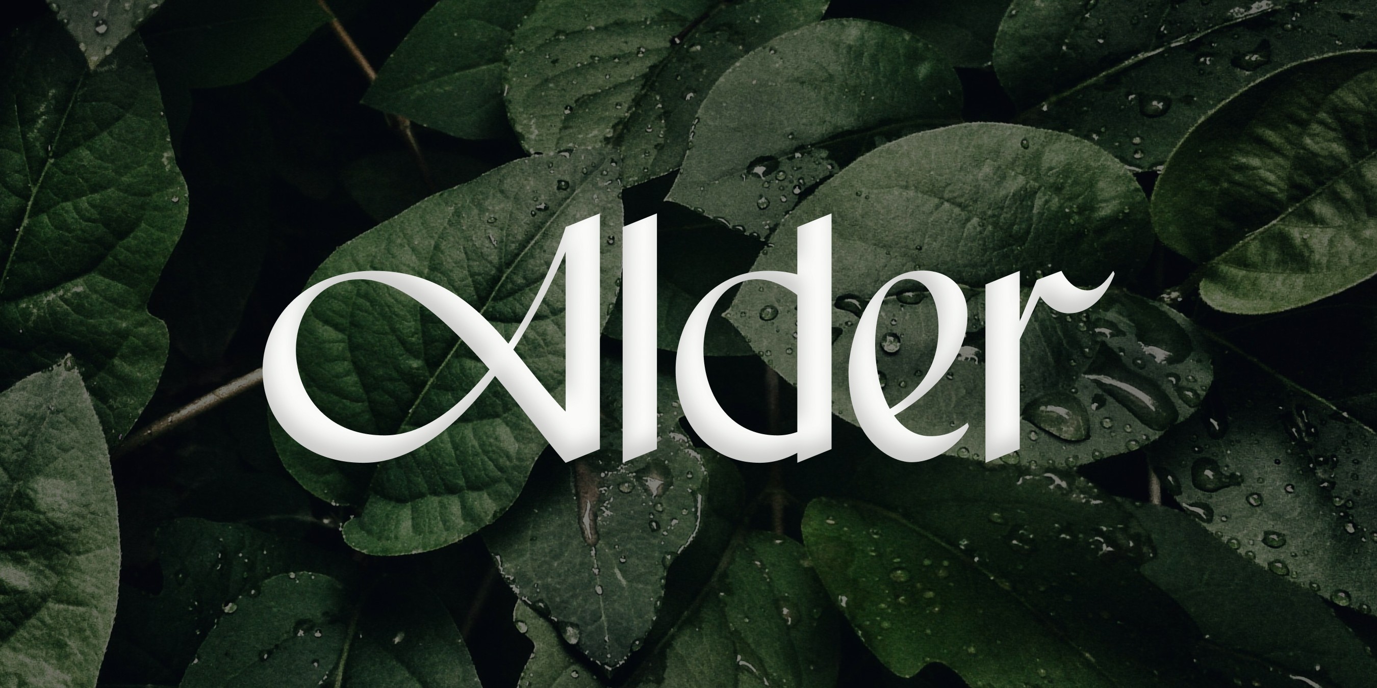 Alder logotype in the background of leaves.