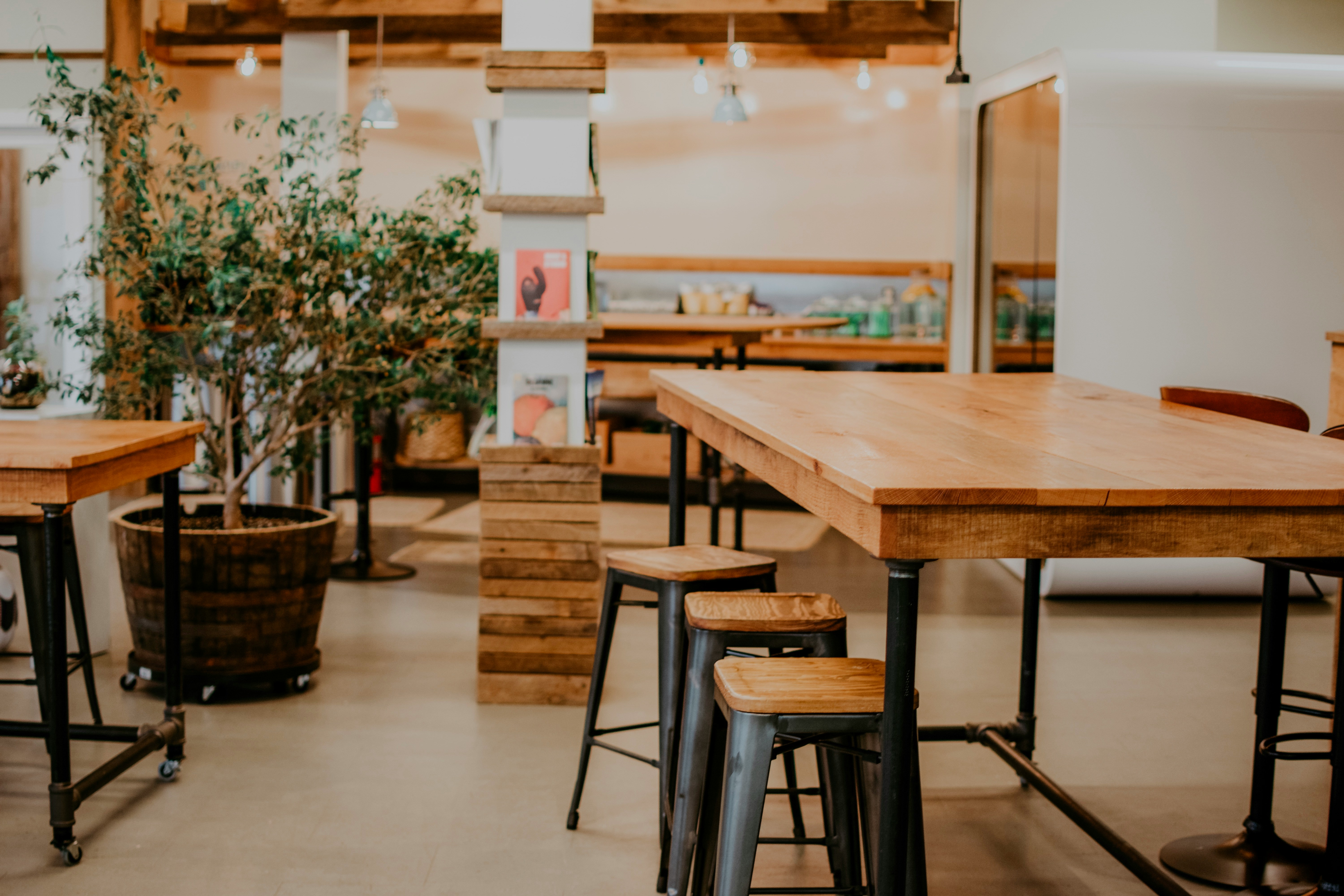 Free Framer Template - A cozy interior of a cafe with wooden tables, chairs, and potted plants, creating a warm atmosphere.