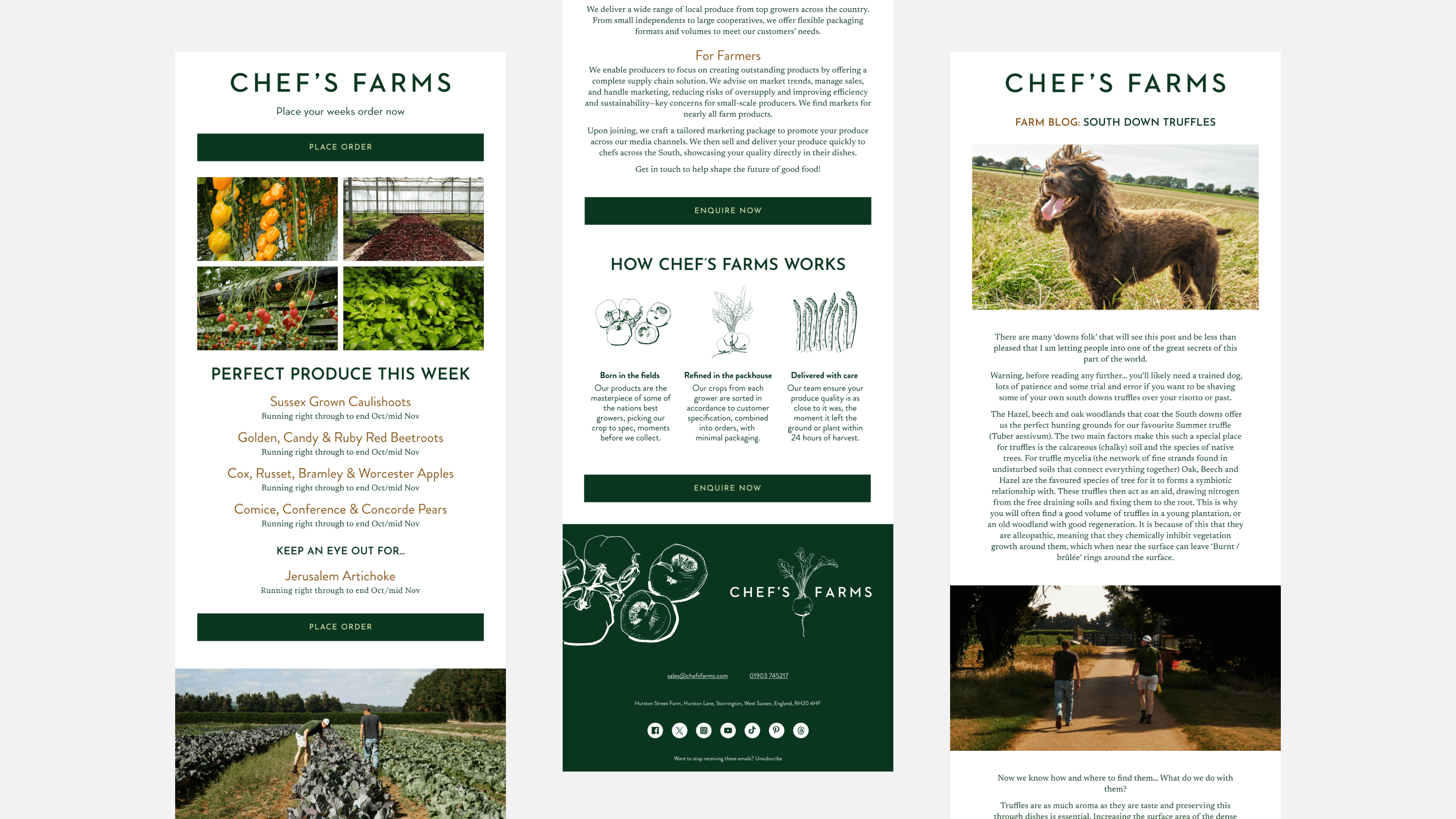 Chef's Farms – GEORGE COSBY STUDIO | Brand Worlds Built At Moments Of Change