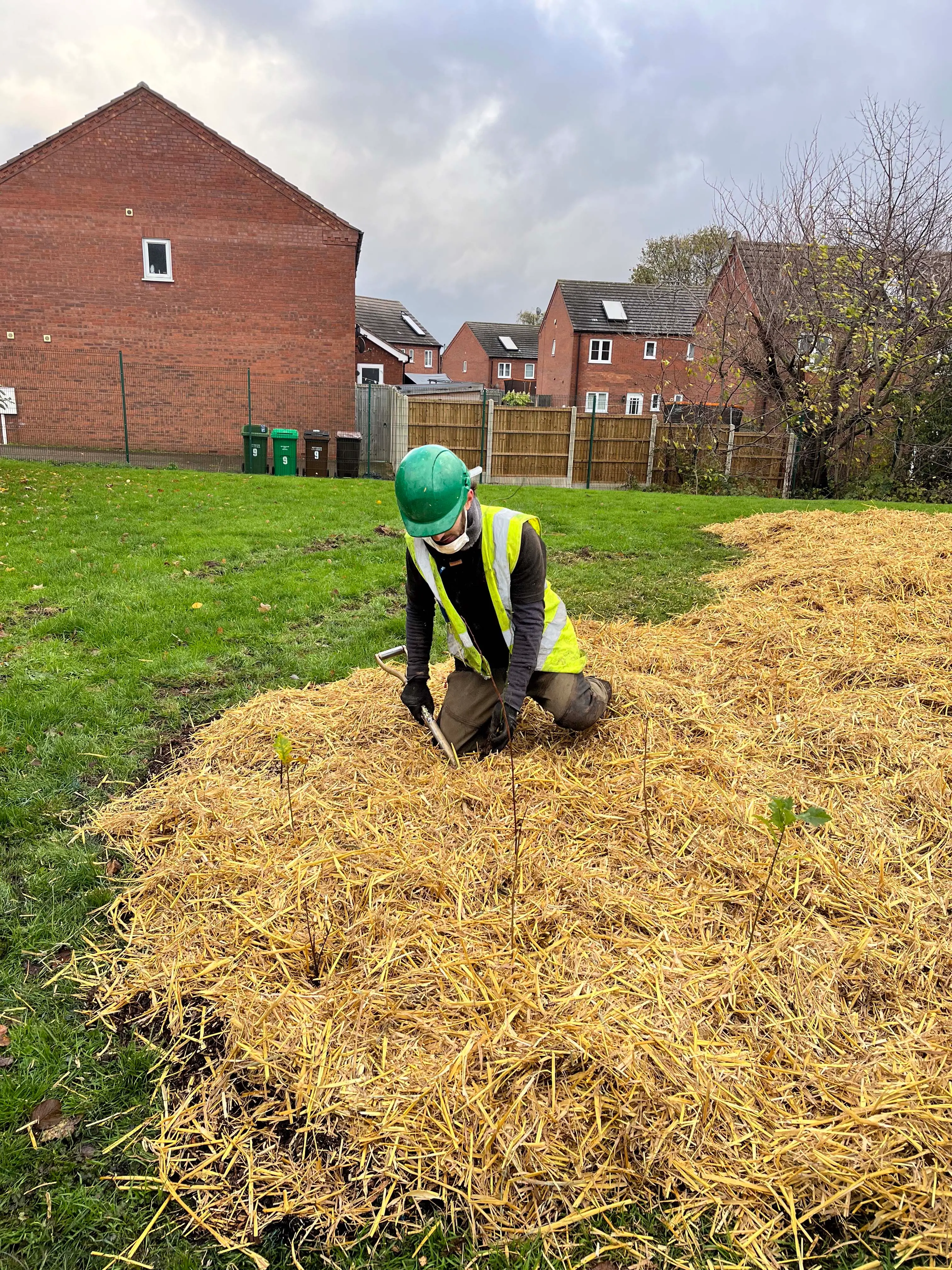 A person wearing a green shirt operates a small tractor on a grassy area, with houses in the background.
