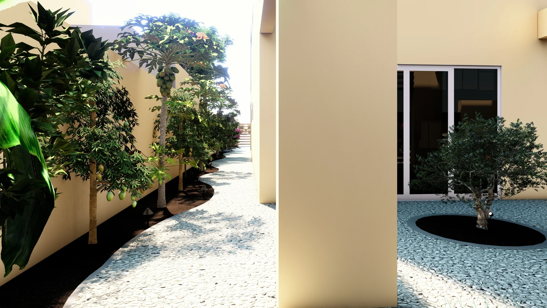 The path leading you to the backyard, bordered by the villa and columns on the right and fruit trees on the left.