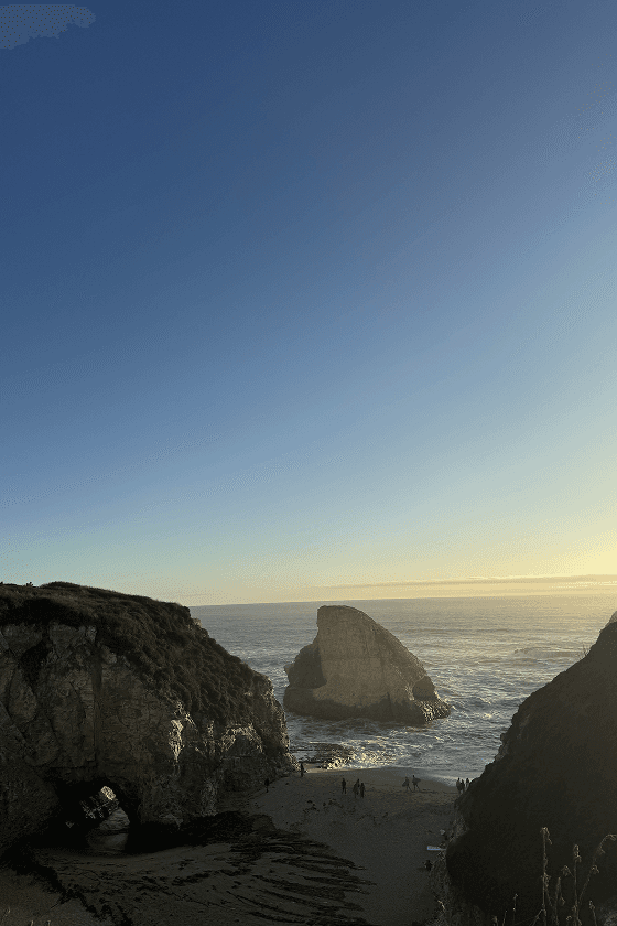 Shark Fin Cove, Pacific