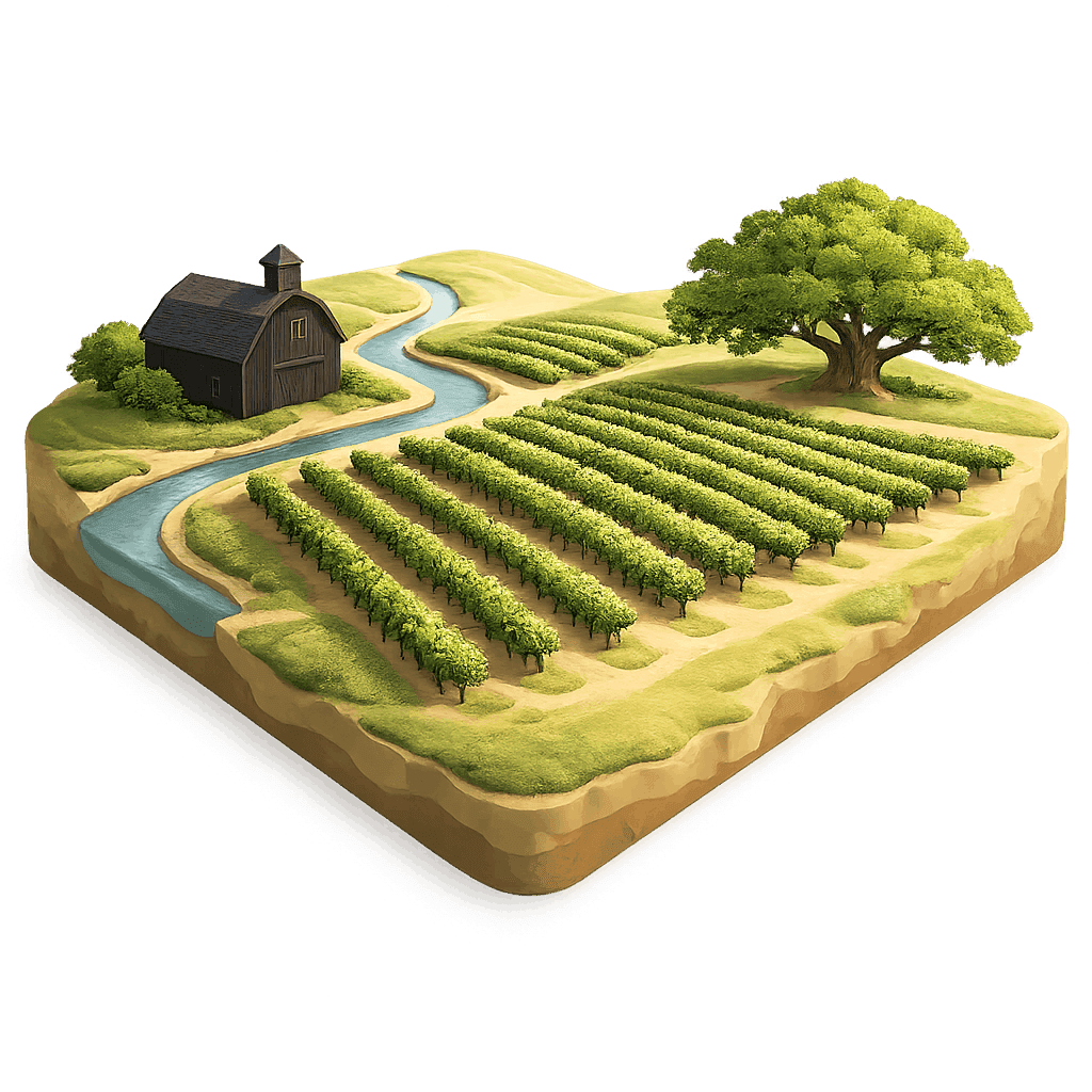 Artistic illustration of the Essex wine region.