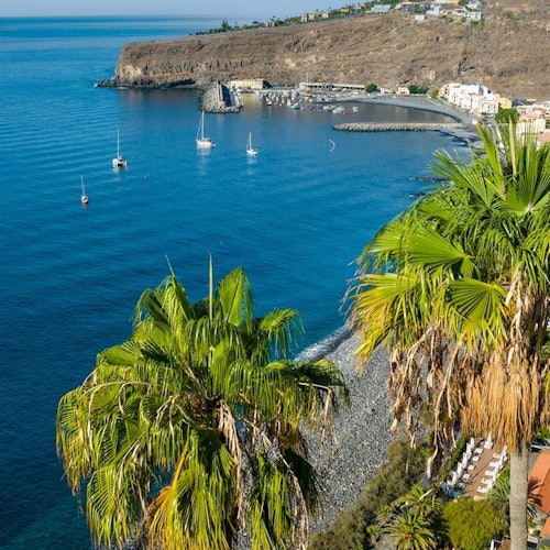 テネリフェ発ラ・ゴメラ: ガイド付き日帰りツアー + ボートライド + サン・セバスティアン・デ・ラ・ゴメラでのランチチケット