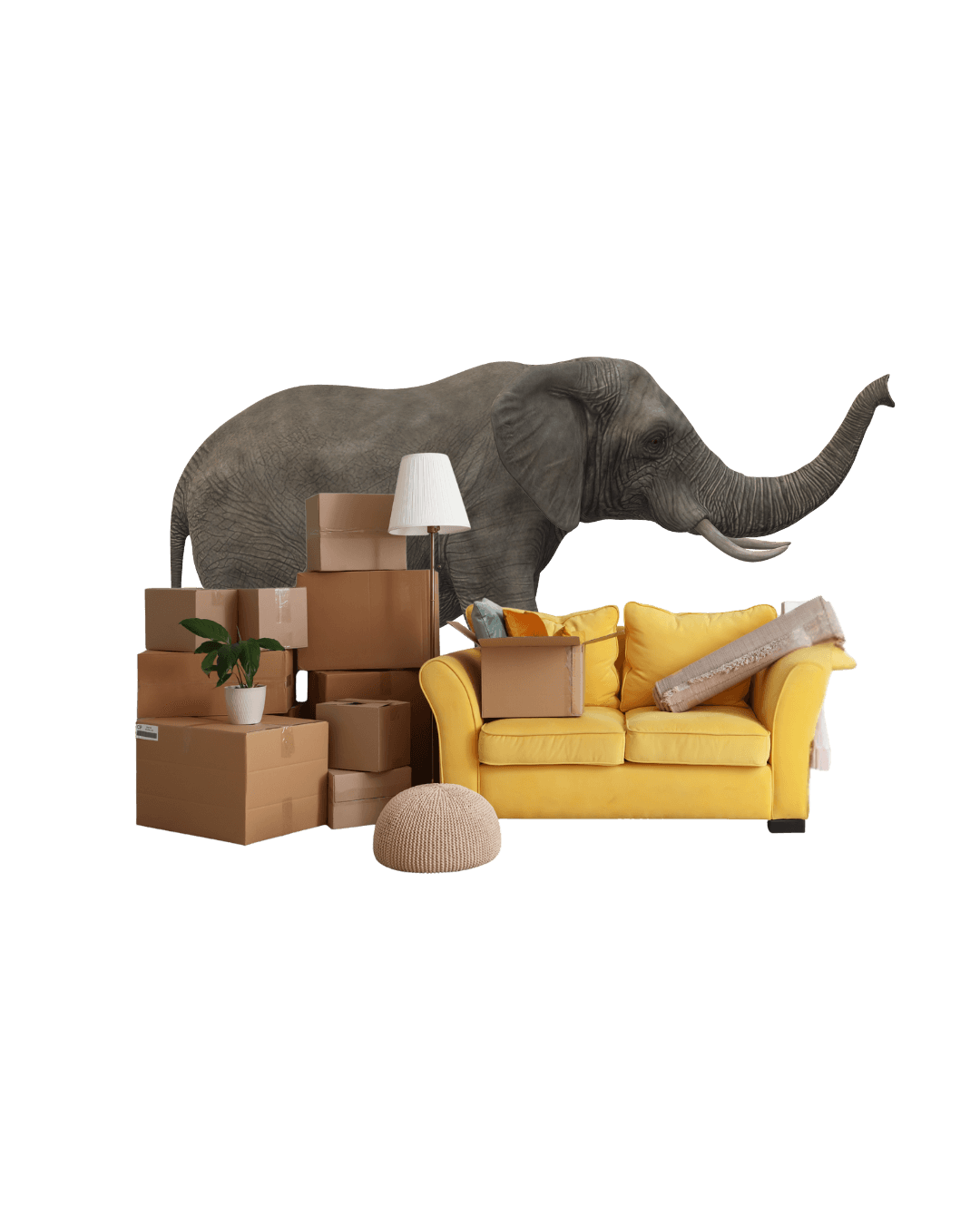 Vancouver storage for bikes