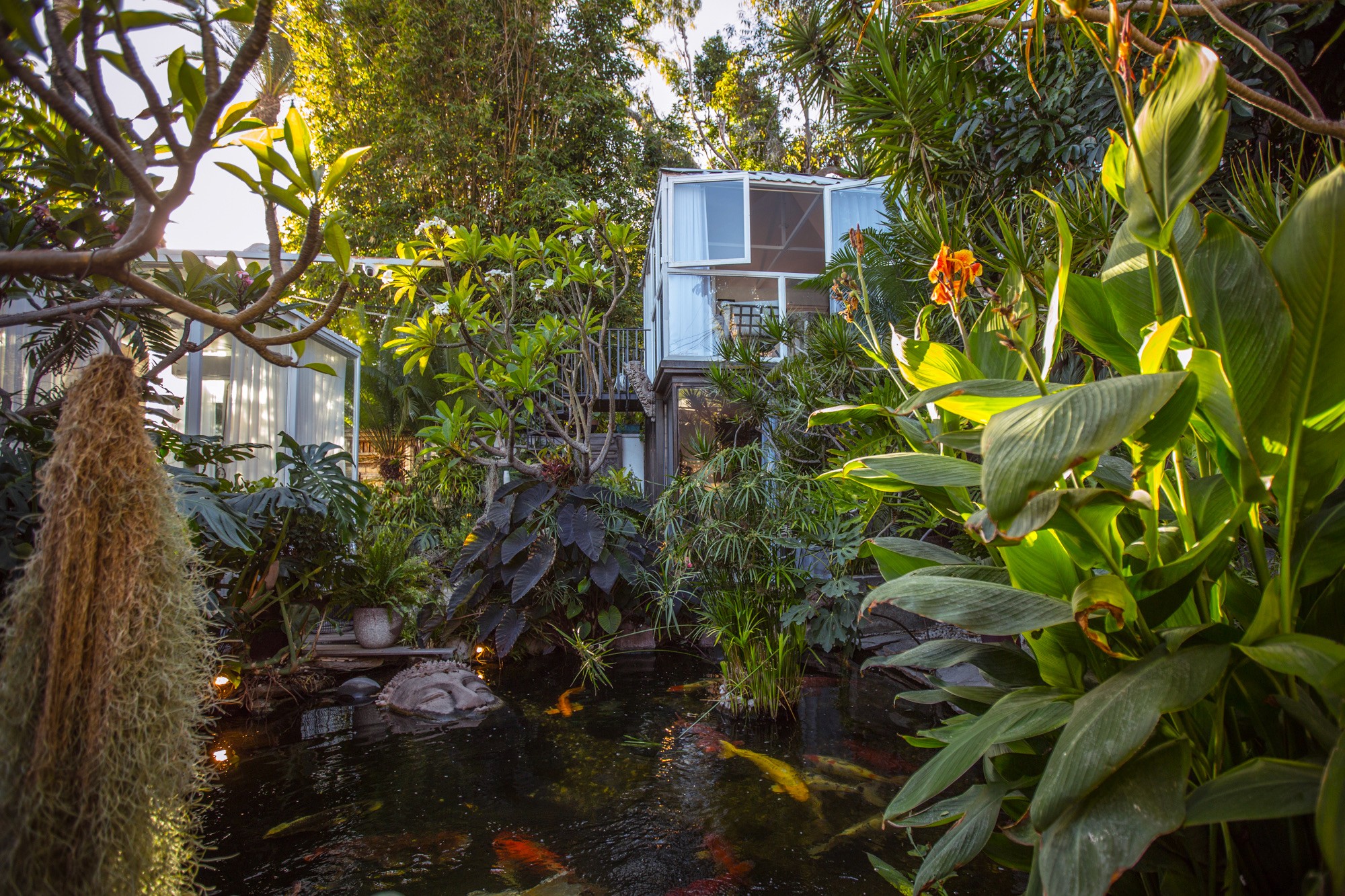 Natural area outside the Woods WeHo dispensary.
