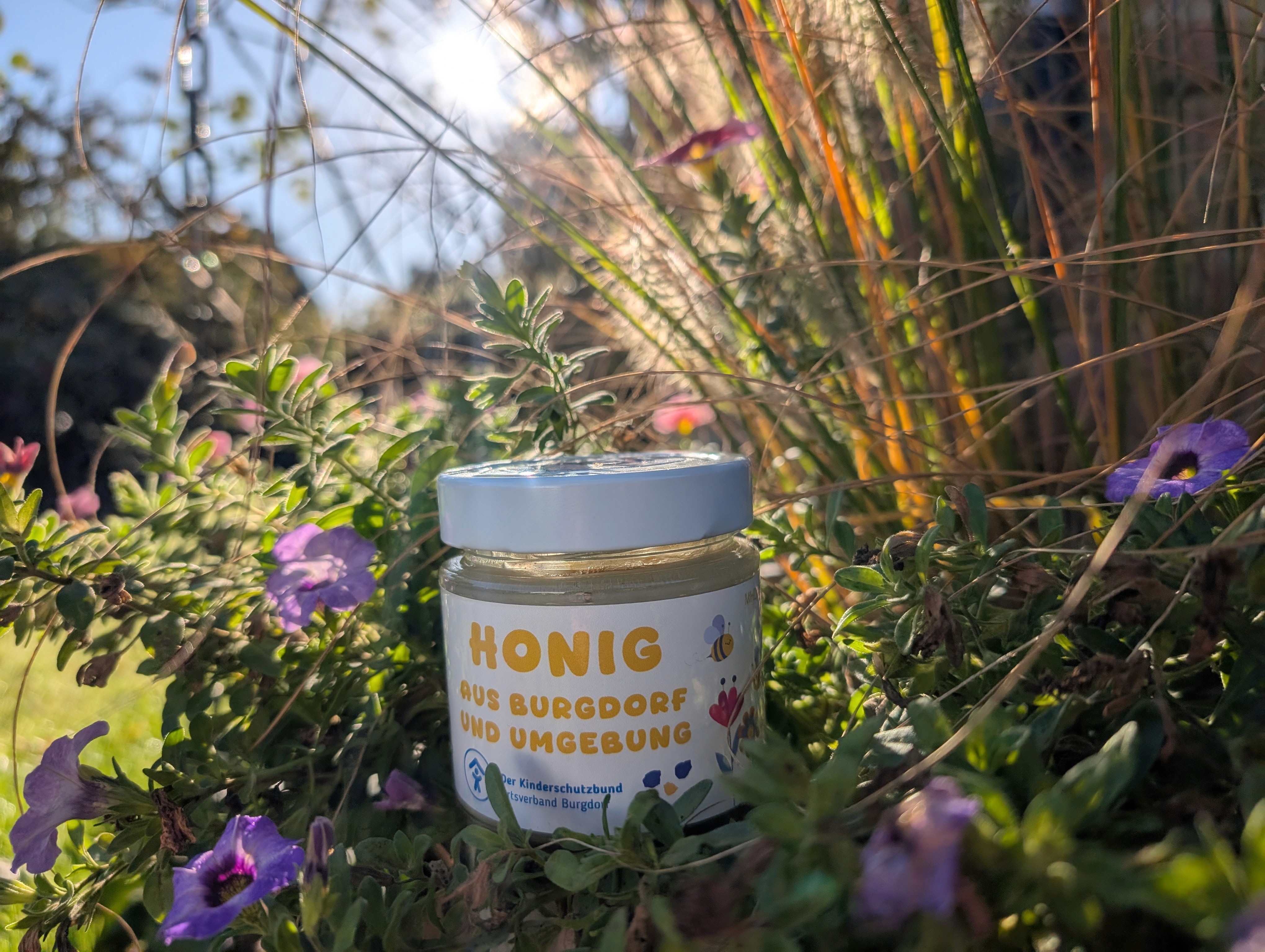 Honigglas mit Etikett des Kinderschutzbundes im Wildblumenfeld bei natürlichem Licht.