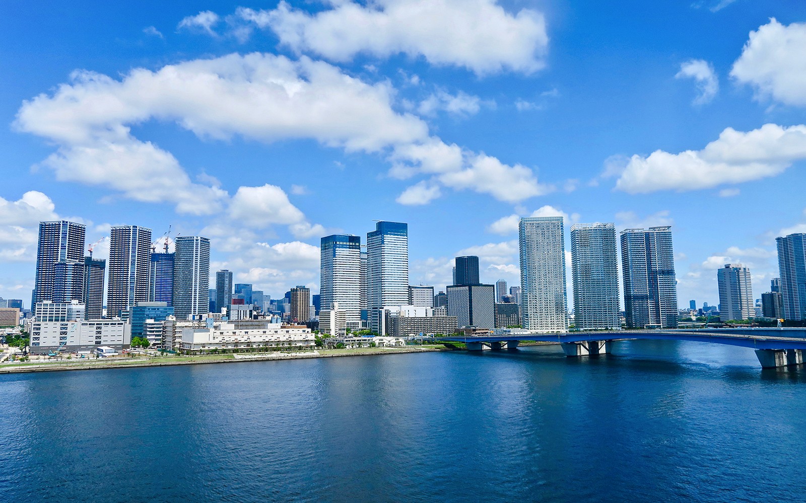 Toyosu area skyline with Rainbow Bridge and Tokyo Tower in the background.