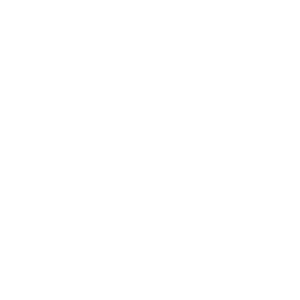 Orbit Icon 2