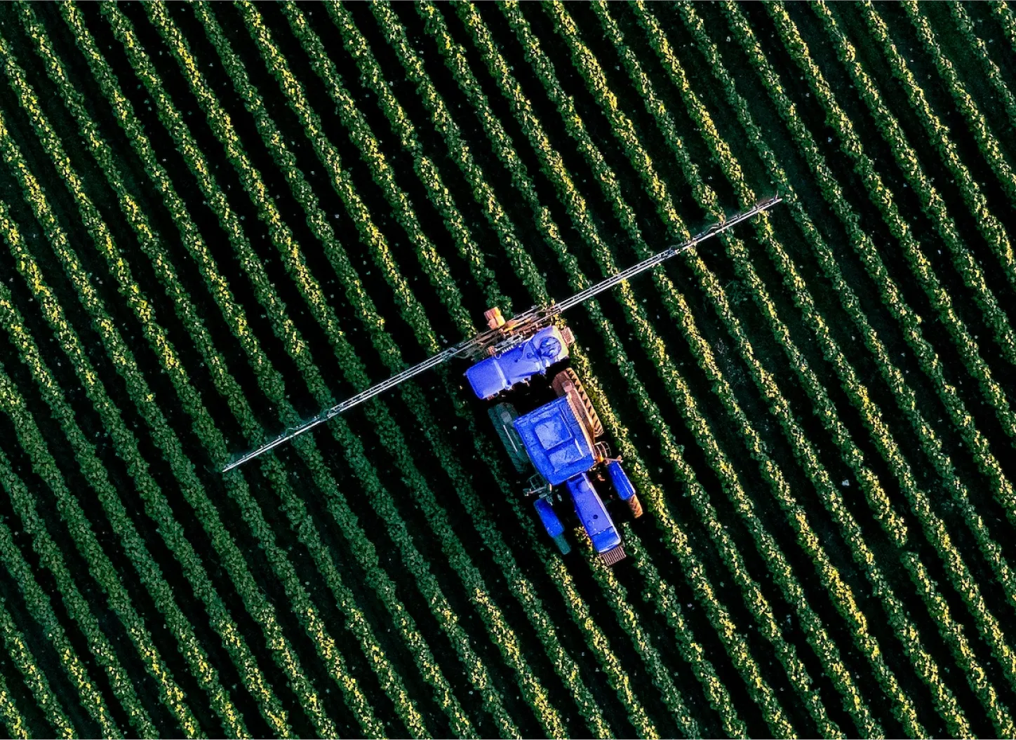Sustainable farming landscape at sunset
