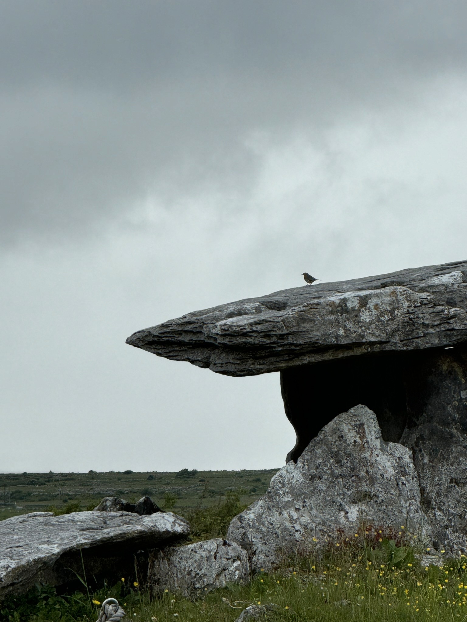 Kilcorney, Ireland, 2024