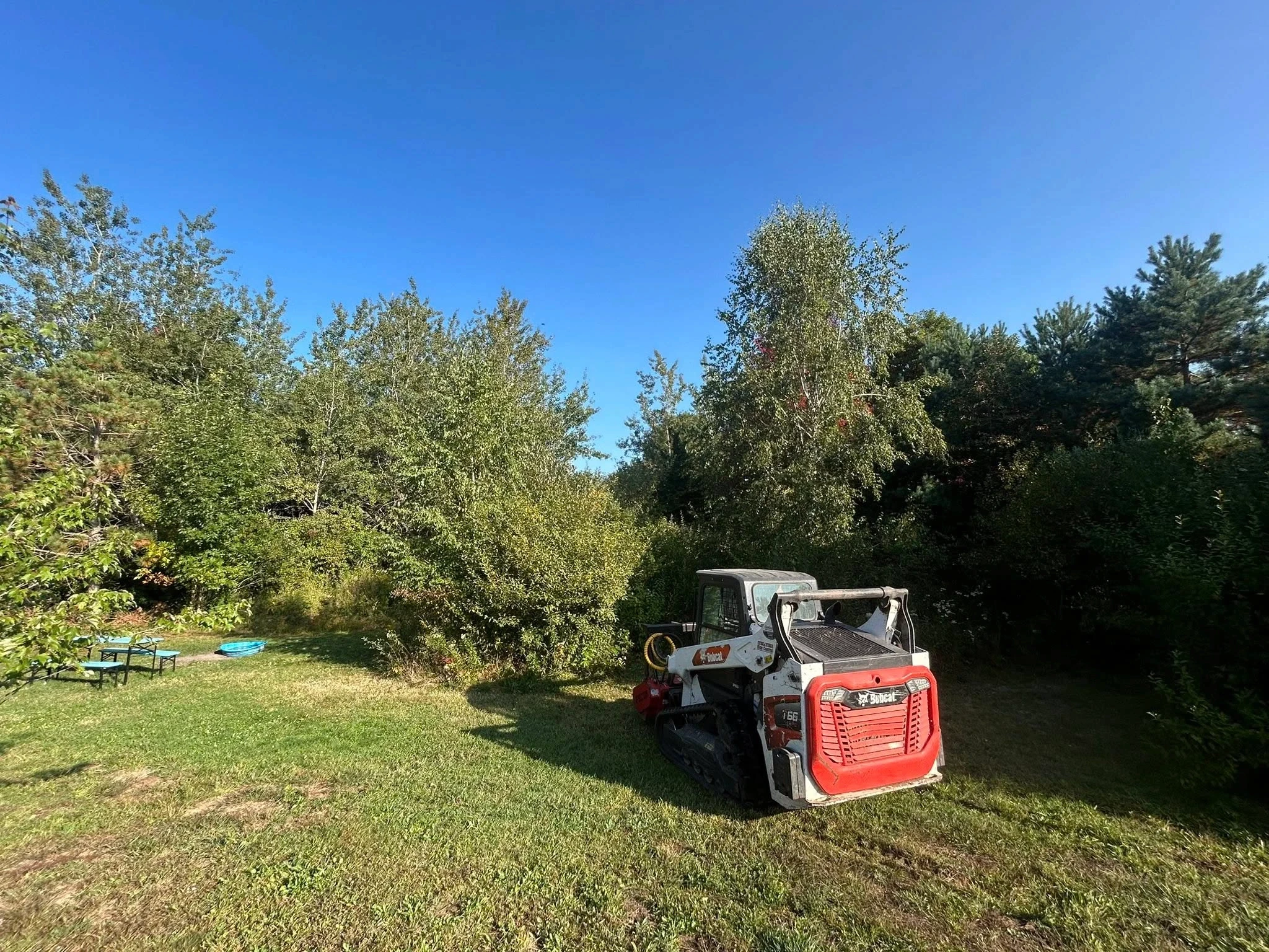Skid steer loader moving dirt in a wooded area