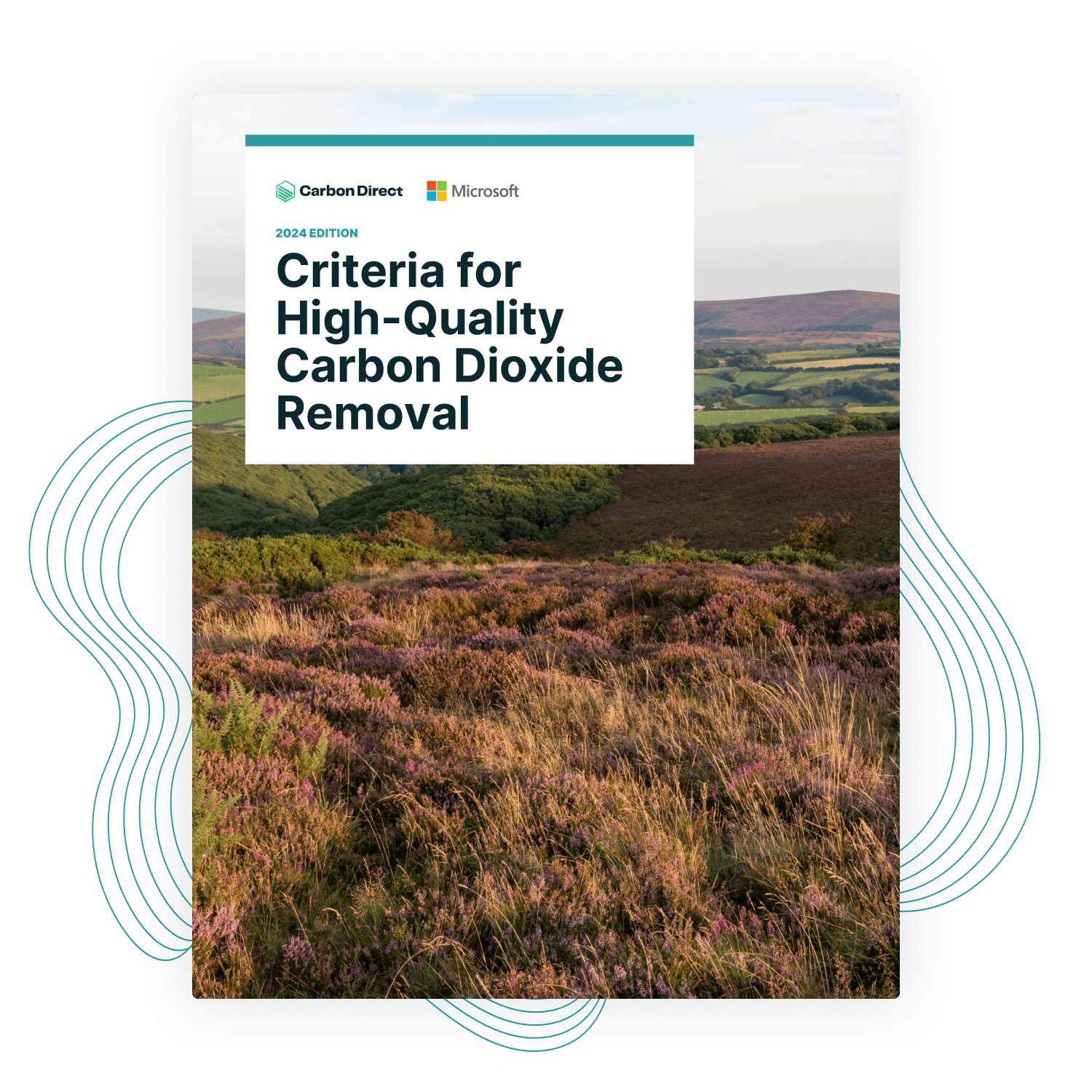 Criteria for High-Quality Carbon Dioxide Removal report cover