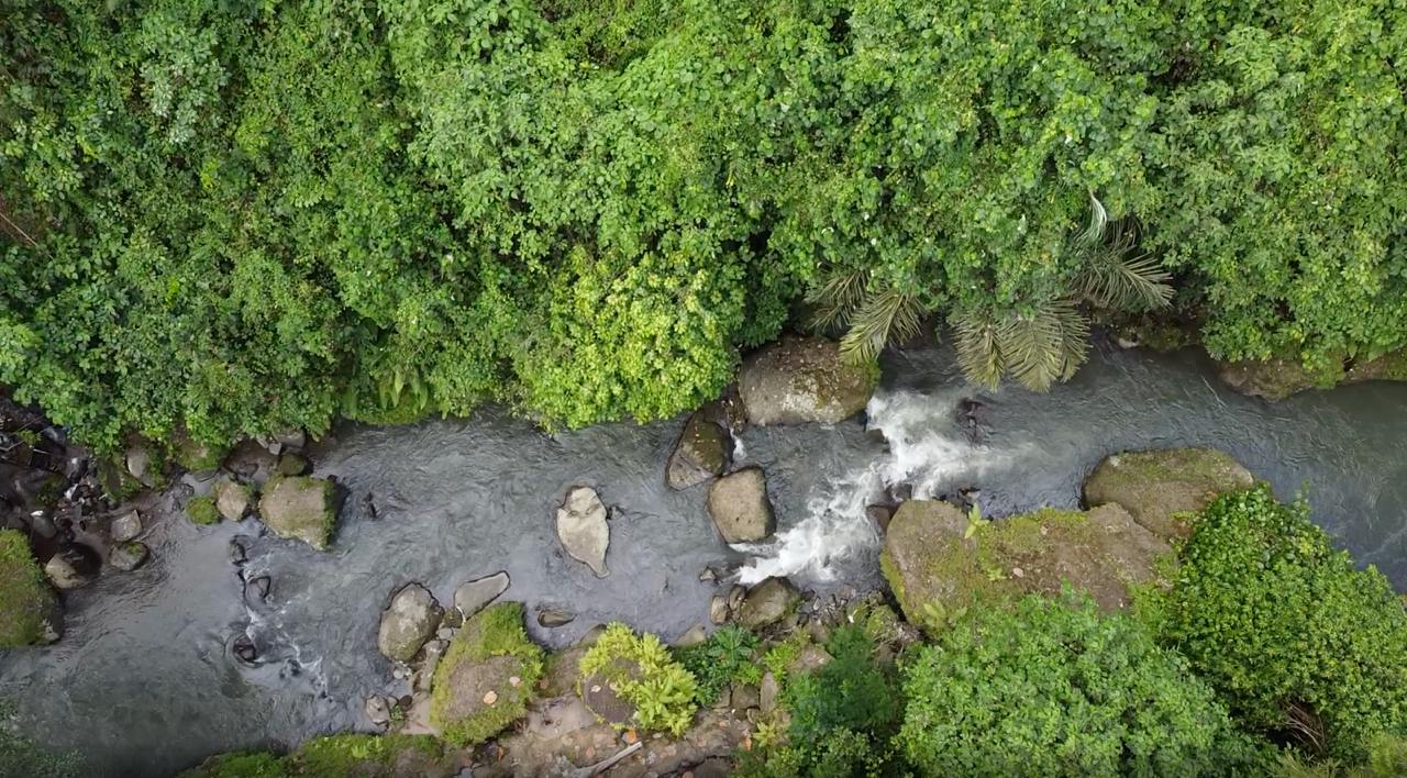 Land plot 1660 m² in Ubud, Leasehold