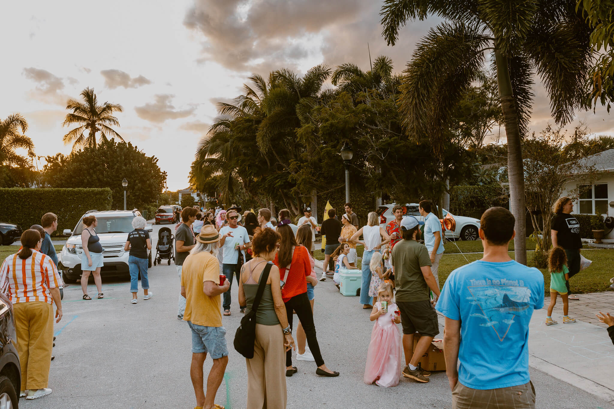 aerial shot of forest