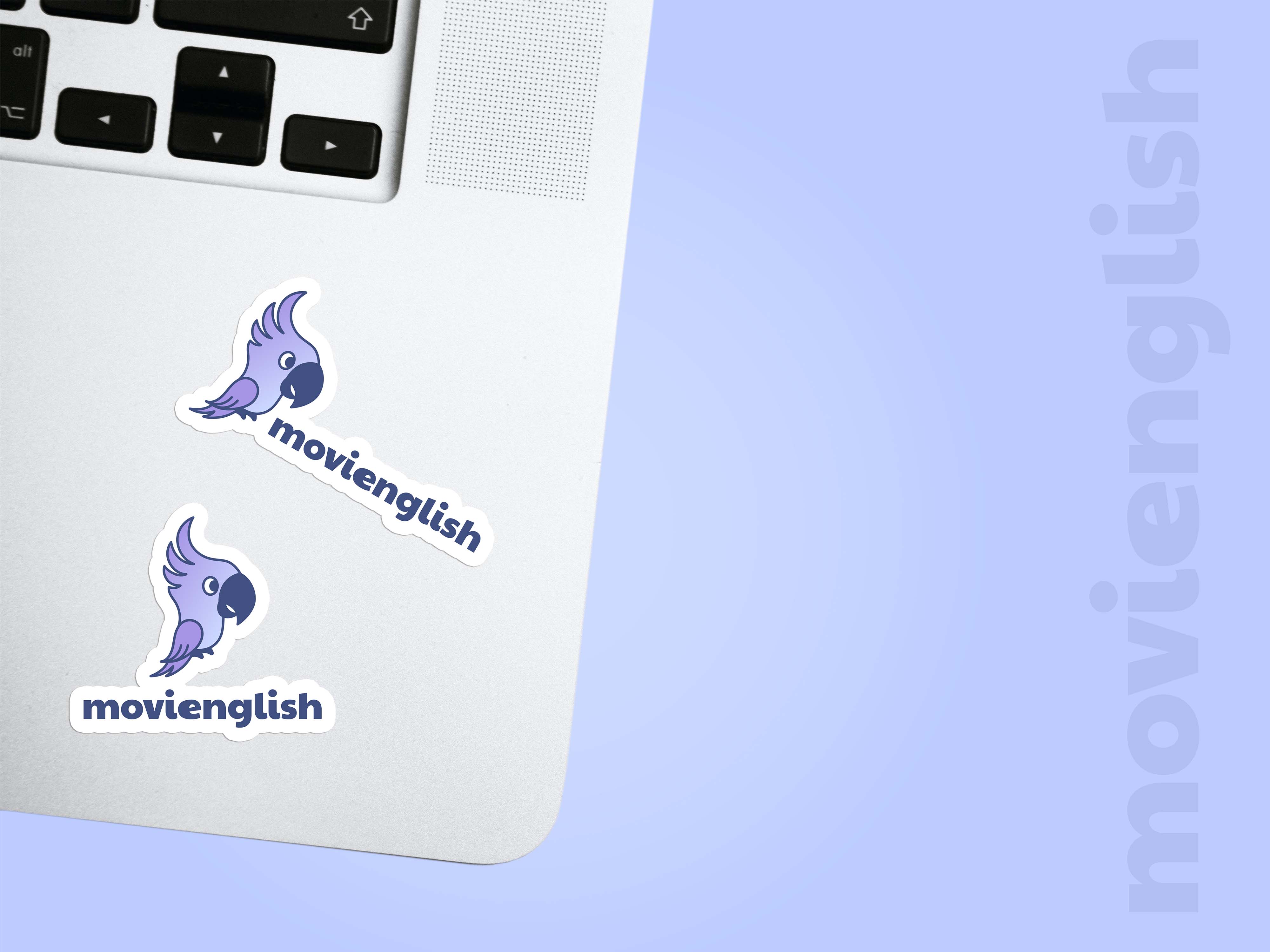 Laptop with parrot logo stickers on the case - Movienglish, an English learning brand identity.