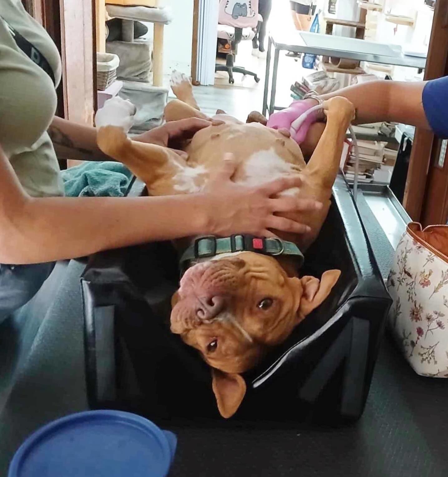 Smiling young woman with long hair standing against a dark green background, holding a finger to her chin.