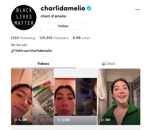 Charli D'Aelio verified TikTok