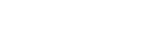 Selr AI